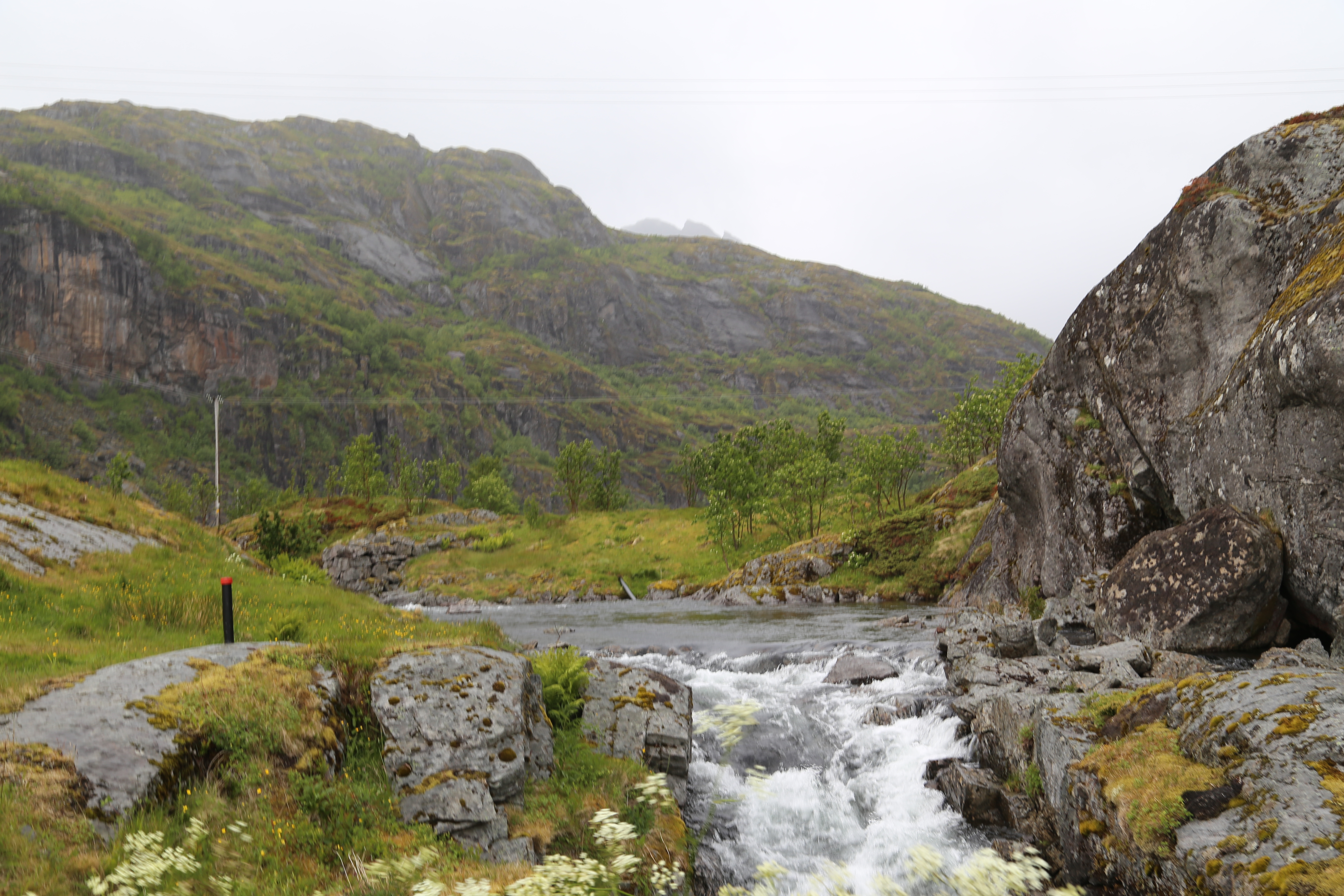 2014 Europe Trip Day 18 - Norway (Lofoten Islands: Sordal Tunnel (4 miles),  Sloverfjord Tunnel (2 miles), Chocolate Chip Rolls, Svolvaer, Lofoten Stockfish (Hanging Cod), Fishing Village Named Å, Snails, Fiskeburger (Fish Burger), Wild Reindeer) 