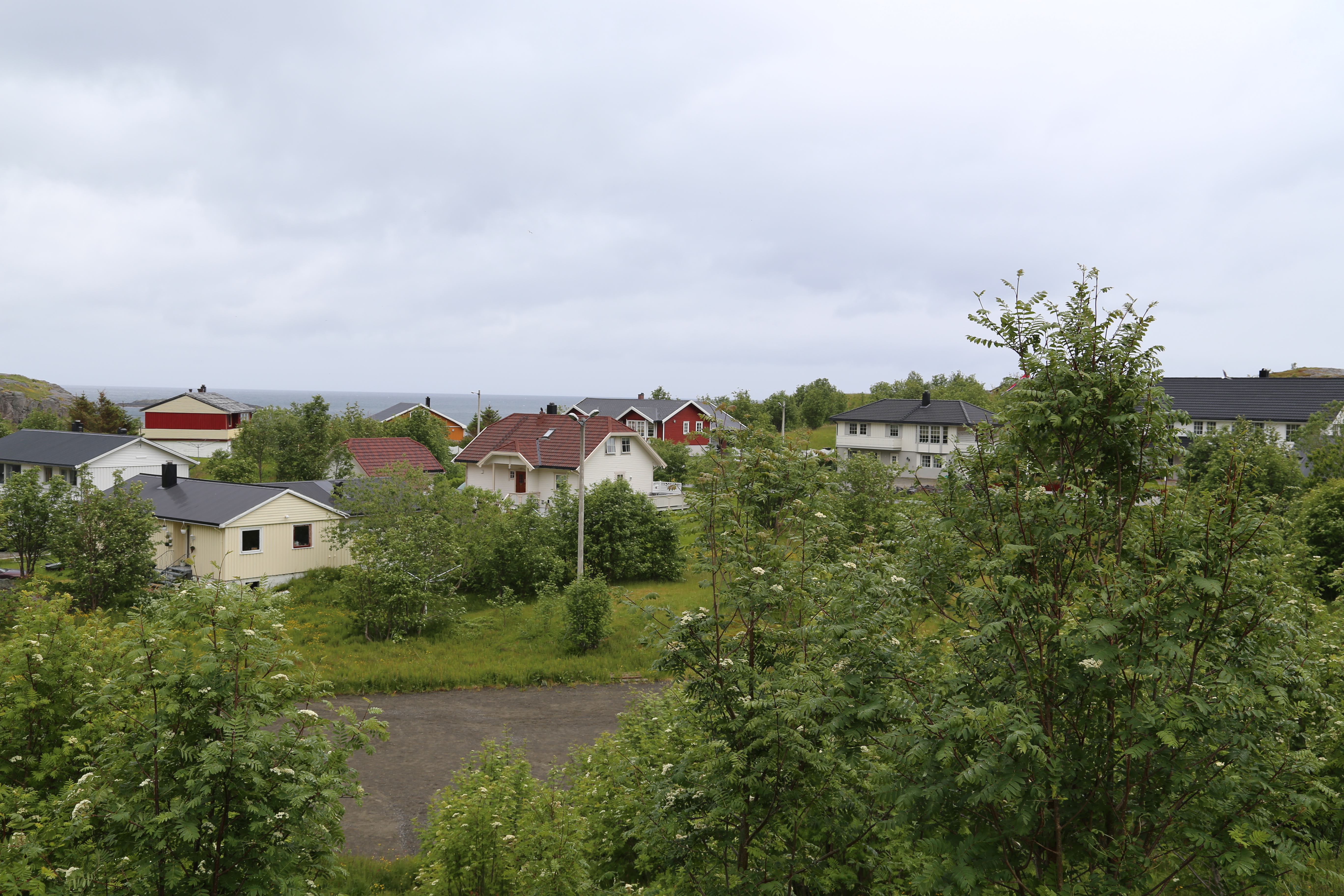 2014 Europe Trip Day 18 - Norway (Lofoten Islands: Sordal Tunnel (4 miles),  Sloverfjord Tunnel (2 miles), Chocolate Chip Rolls, Svolvaer, Lofoten Stockfish (Hanging Cod), Fishing Village Named Å, Snails, Fiskeburger (Fish Burger), Wild Reindeer) 