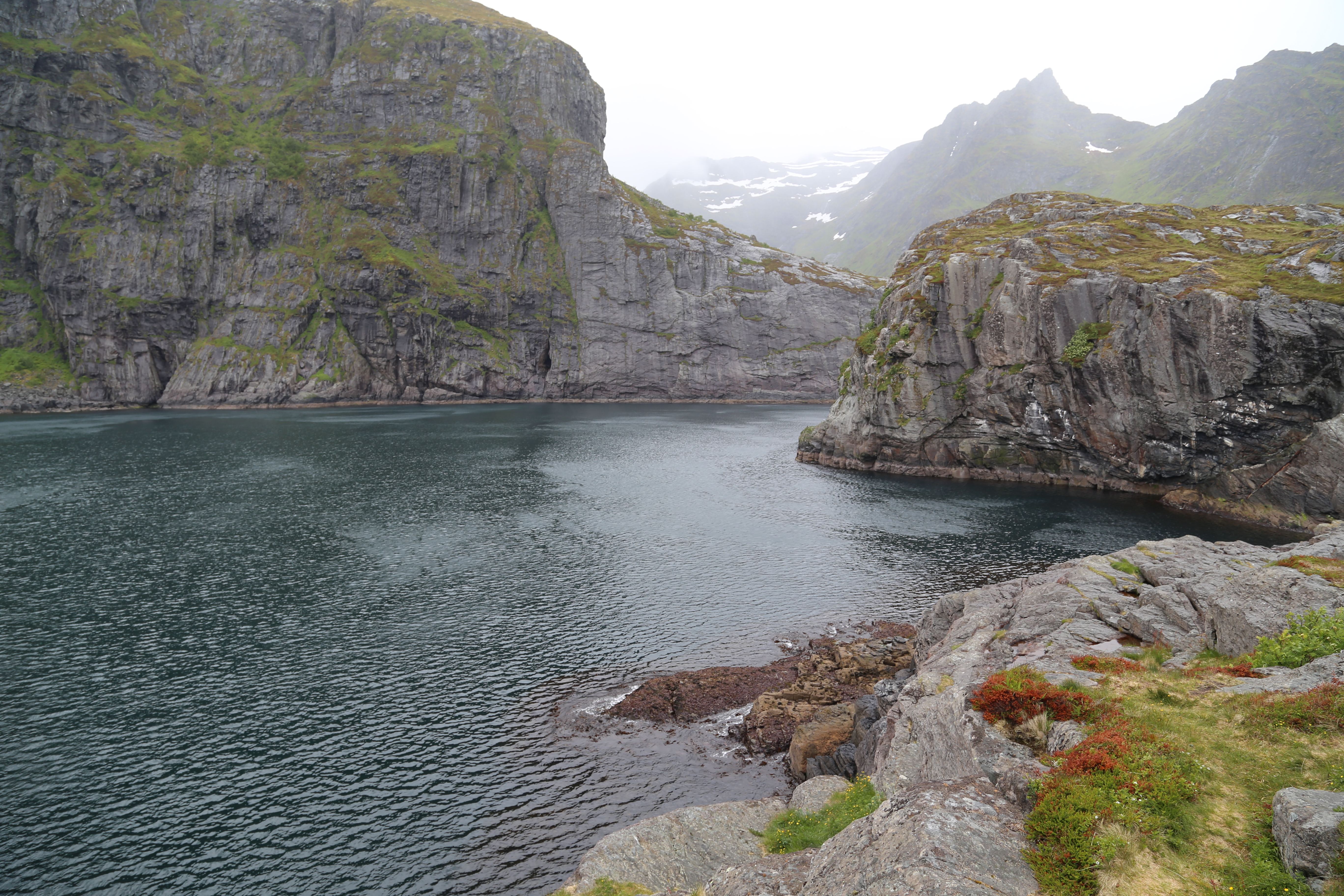 2014 Europe Trip Day 18 - Norway (Lofoten Islands: Sordal Tunnel (4 miles),  Sloverfjord Tunnel (2 miles), Chocolate Chip Rolls, Svolvaer, Lofoten Stockfish (Hanging Cod), Fishing Village Named Å, Snails, Fiskeburger (Fish Burger), Wild Reindeer) 