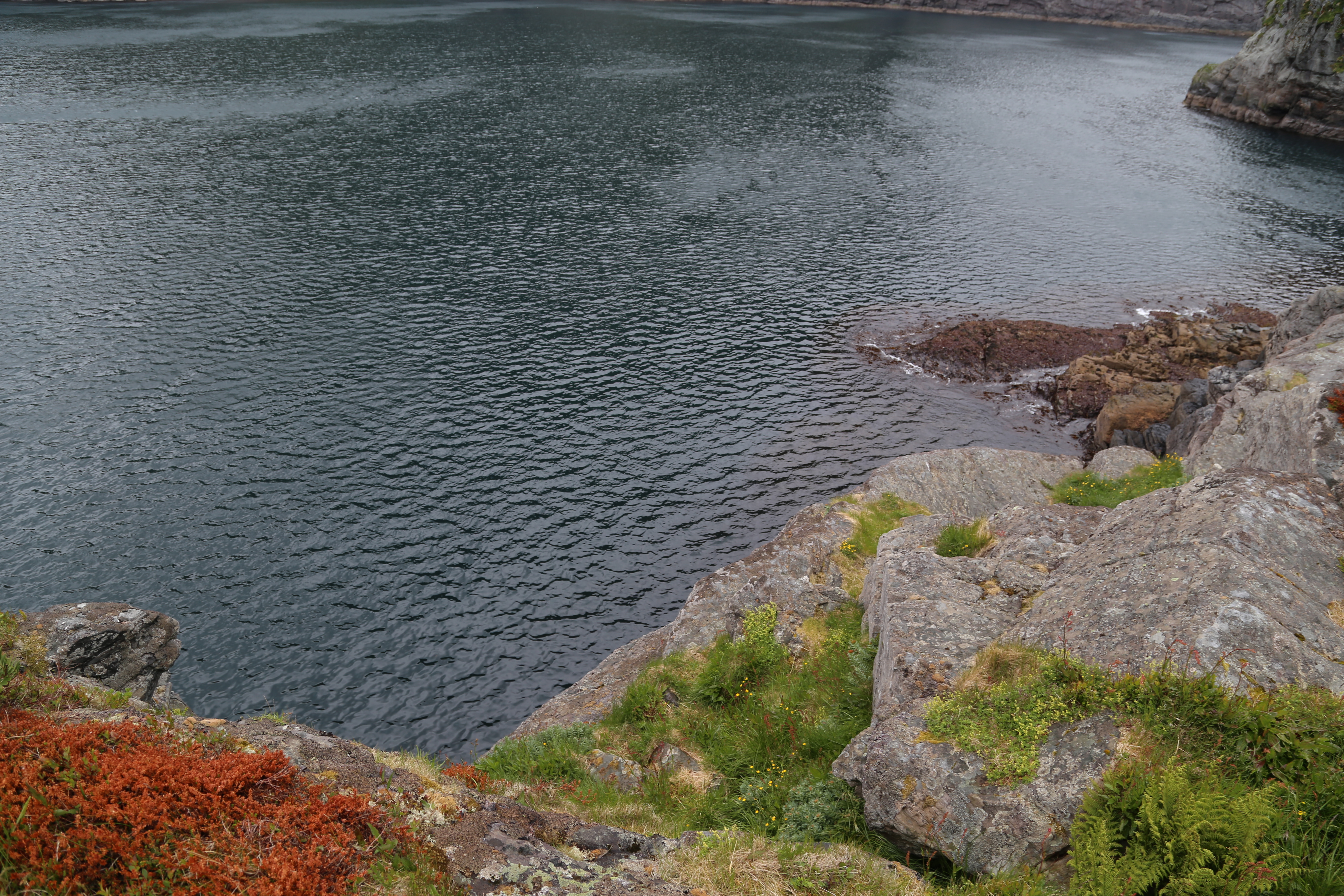 2014 Europe Trip Day 18 - Norway (Lofoten Islands: Sordal Tunnel (4 miles),  Sloverfjord Tunnel (2 miles), Chocolate Chip Rolls, Svolvaer, Lofoten Stockfish (Hanging Cod), Fishing Village Named Å, Snails, Fiskeburger (Fish Burger), Wild Reindeer) 