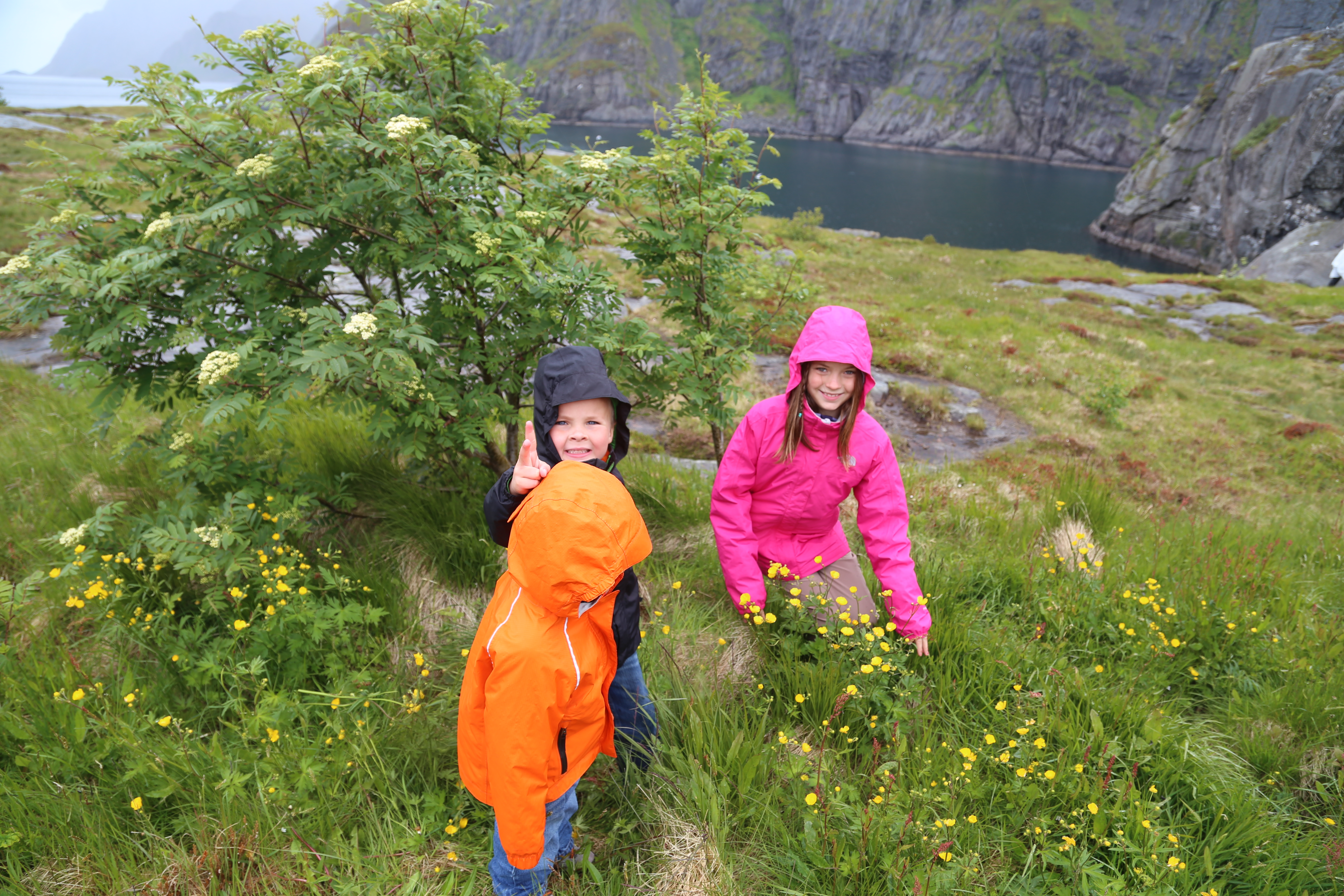 2014 Europe Trip Day 18 - Norway (Lofoten Islands: Sordal Tunnel (4 miles),  Sloverfjord Tunnel (2 miles), Chocolate Chip Rolls, Svolvaer, Lofoten Stockfish (Hanging Cod), Fishing Village Named Å, Snails, Fiskeburger (Fish Burger), Wild Reindeer) 