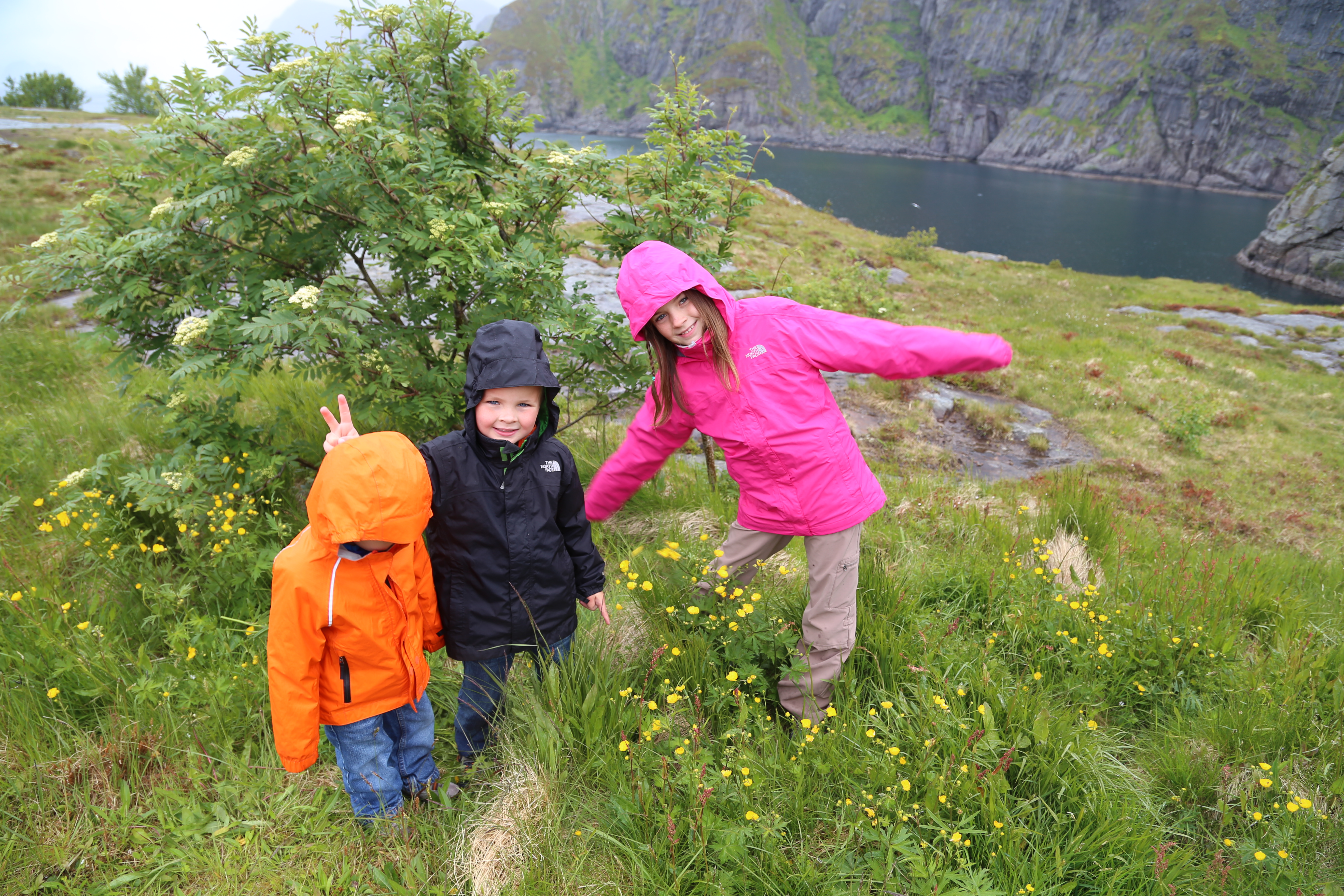 2014 Europe Trip Day 18 - Norway (Lofoten Islands: Sordal Tunnel (4 miles),  Sloverfjord Tunnel (2 miles), Chocolate Chip Rolls, Svolvaer, Lofoten Stockfish (Hanging Cod), Fishing Village Named Å, Snails, Fiskeburger (Fish Burger), Wild Reindeer) 