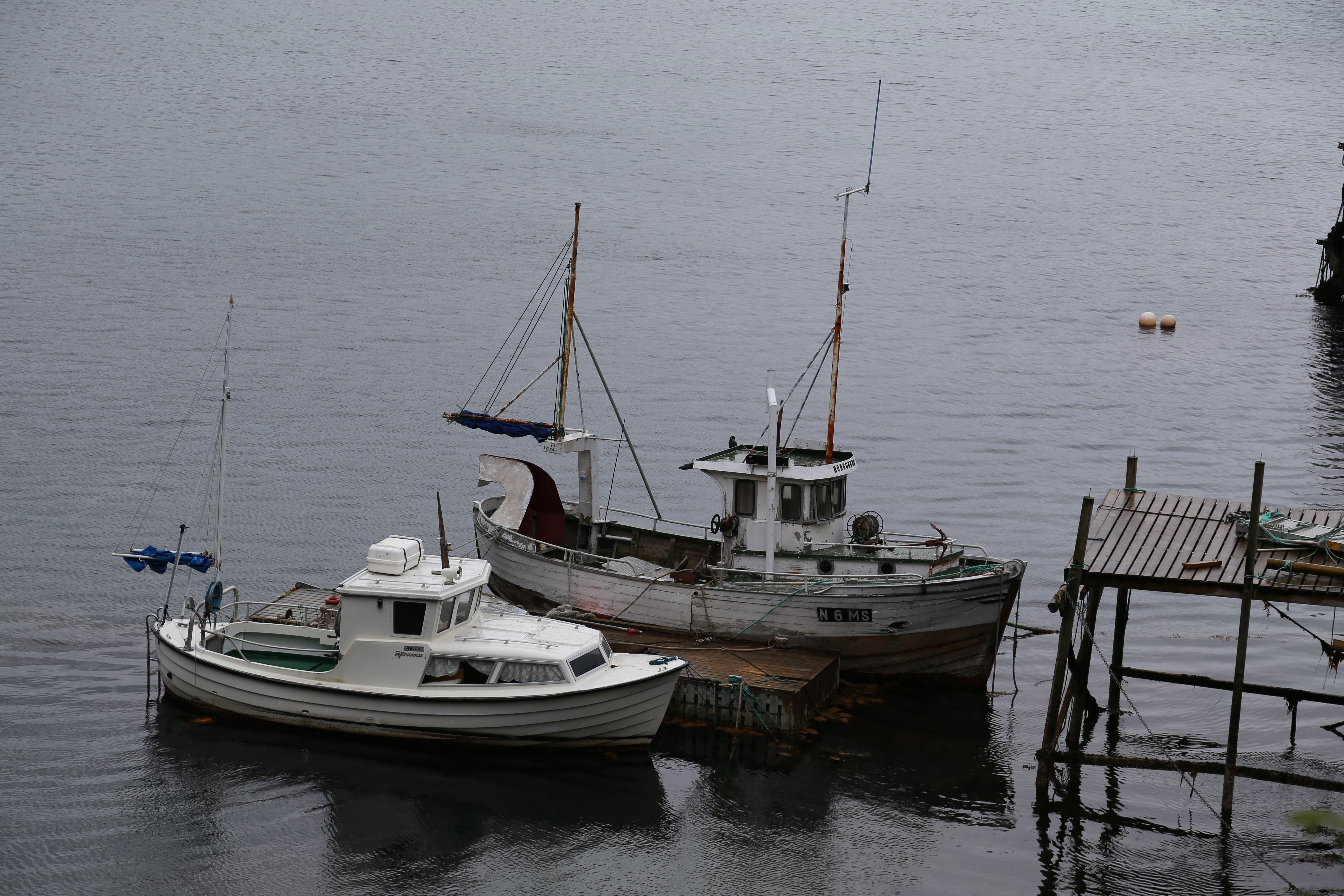 2014 Europe Trip Day 18 - Norway (Lofoten Islands: Sordal Tunnel (4 miles),  Sloverfjord Tunnel (2 miles), Chocolate Chip Rolls, Svolvaer, Lofoten Stockfish (Hanging Cod), Fishing Village Named Å, Snails, Fiskeburger (Fish Burger), Wild Reindeer) 