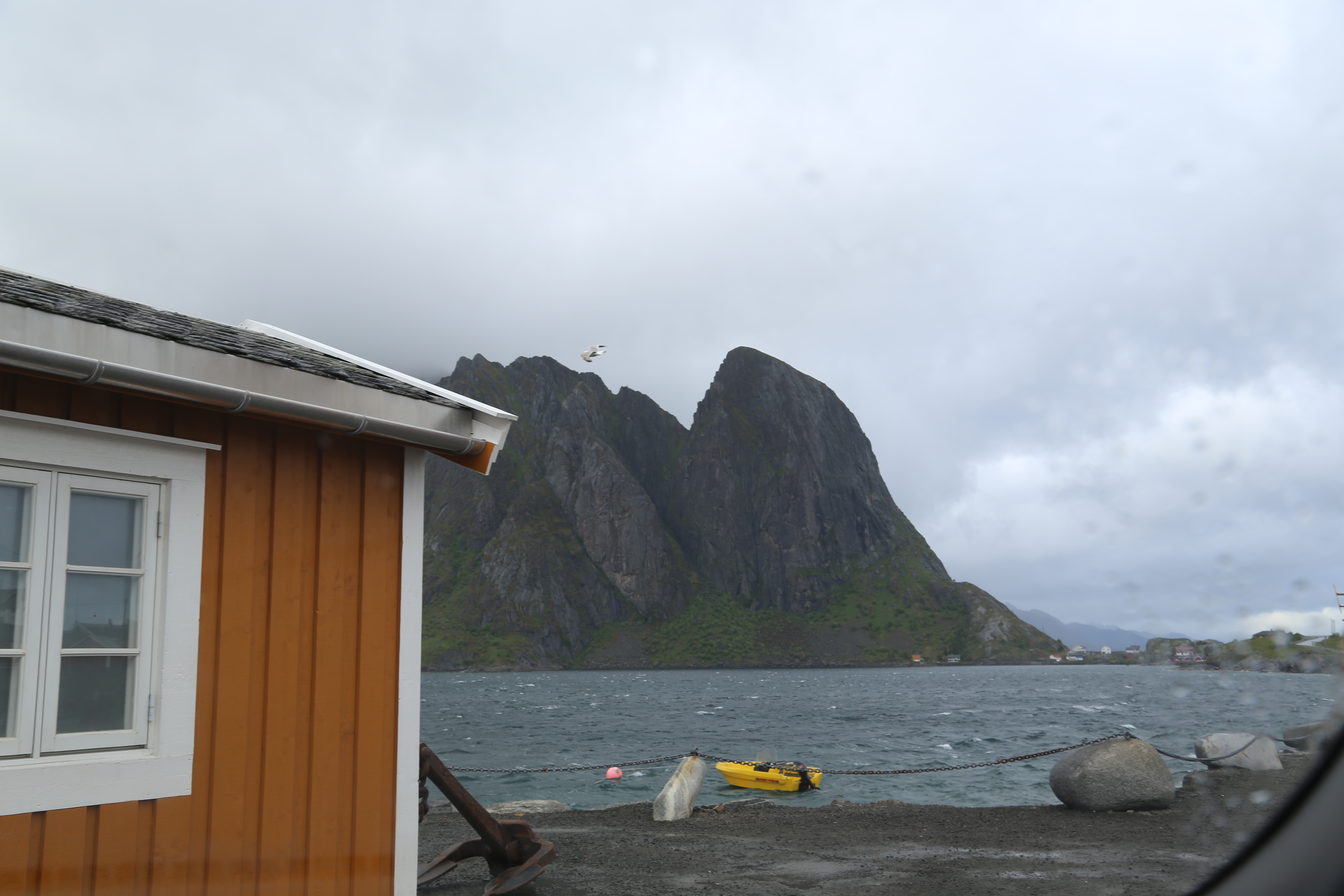 2014 Europe Trip Day 18 - Norway (Lofoten Islands: Sordal Tunnel (4 miles),  Sloverfjord Tunnel (2 miles), Chocolate Chip Rolls, Svolvaer, Lofoten Stockfish (Hanging Cod), Fishing Village Named Å, Snails, Fiskeburger (Fish Burger), Wild Reindeer) 