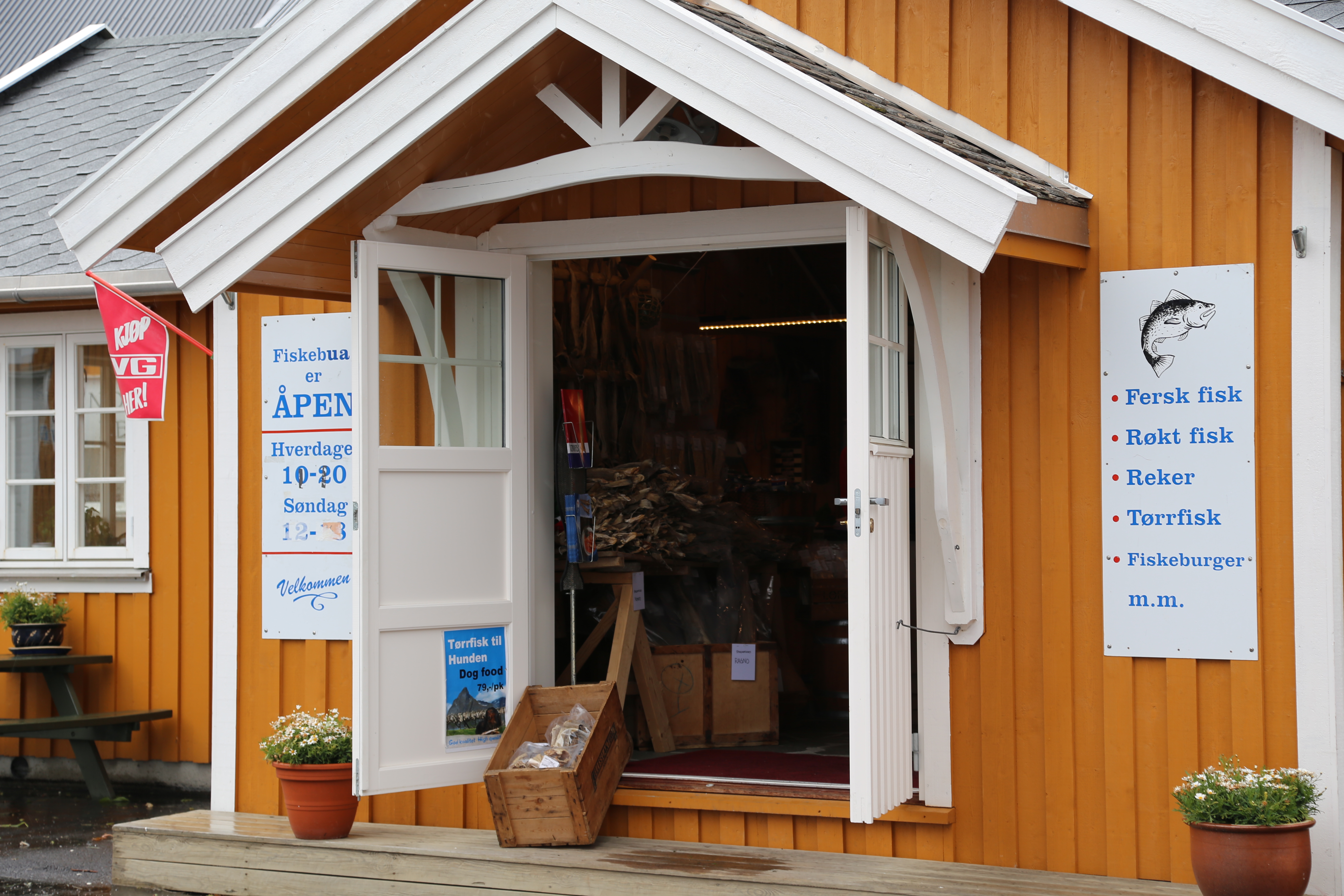 2014 Europe Trip Day 18 - Norway (Lofoten Islands: Sordal Tunnel (4 miles),  Sloverfjord Tunnel (2 miles), Chocolate Chip Rolls, Svolvaer, Lofoten Stockfish (Hanging Cod), Fishing Village Named Å, Snails, Fiskeburger (Fish Burger), Wild Reindeer) 