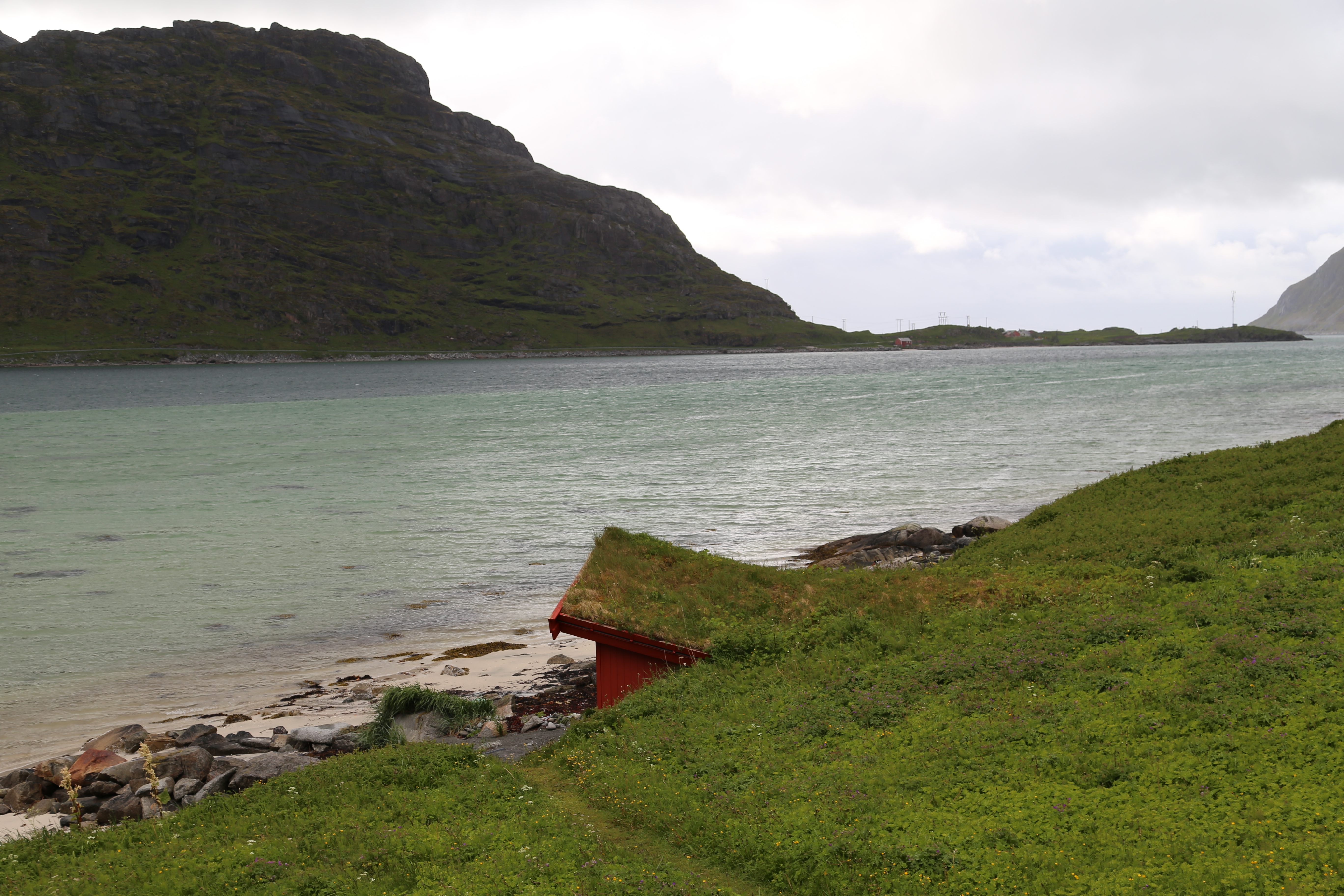 2014 Europe Trip Day 18 - Norway (Lofoten Islands: Sordal Tunnel (4 miles),  Sloverfjord Tunnel (2 miles), Chocolate Chip Rolls, Svolvaer, Lofoten Stockfish (Hanging Cod), Fishing Village Named Å, Snails, Fiskeburger (Fish Burger), Wild Reindeer) 