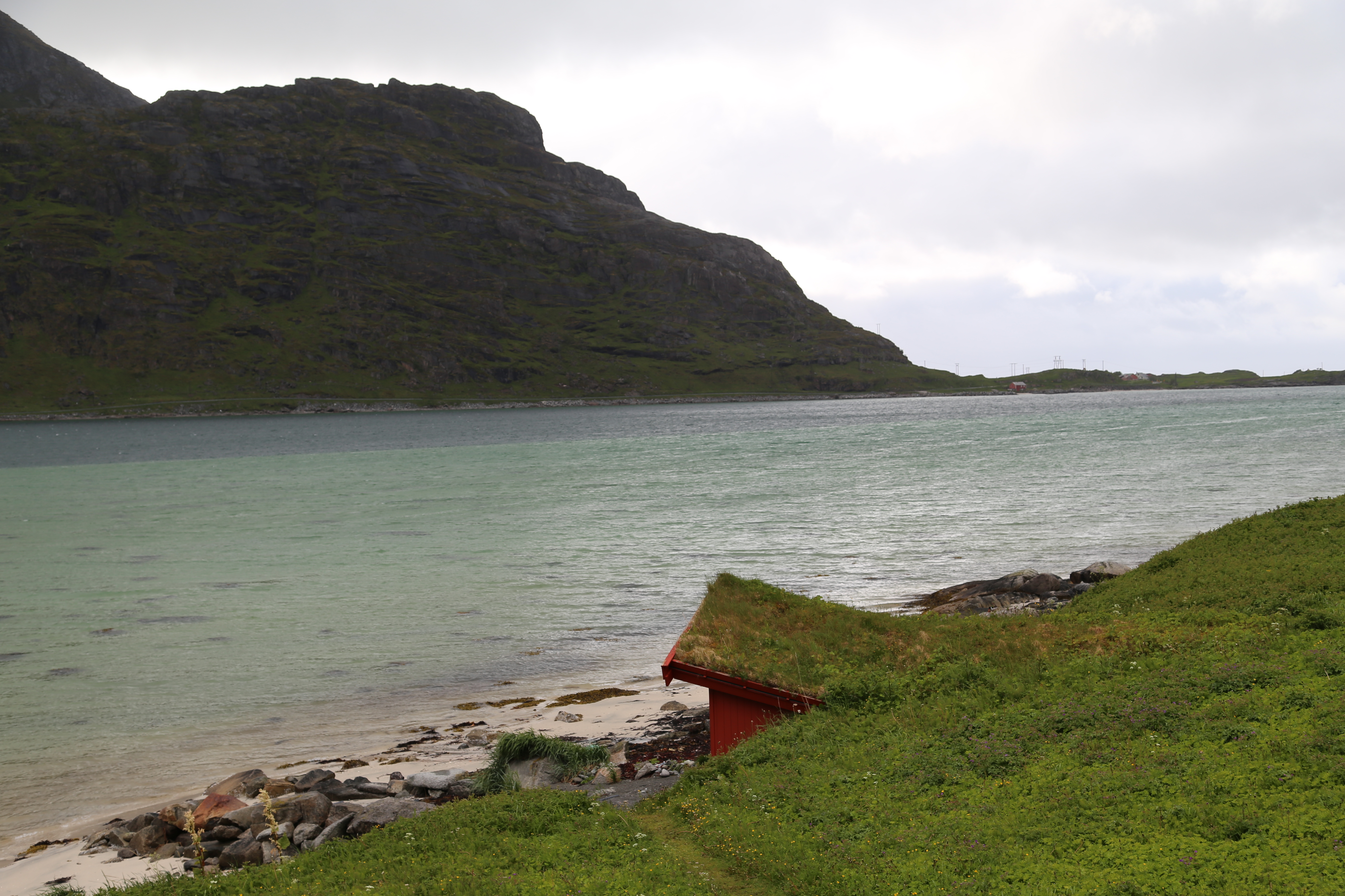 2014 Europe Trip Day 18 - Norway (Lofoten Islands: Sordal Tunnel (4 miles),  Sloverfjord Tunnel (2 miles), Chocolate Chip Rolls, Svolvaer, Lofoten Stockfish (Hanging Cod), Fishing Village Named Å, Snails, Fiskeburger (Fish Burger), Wild Reindeer) 