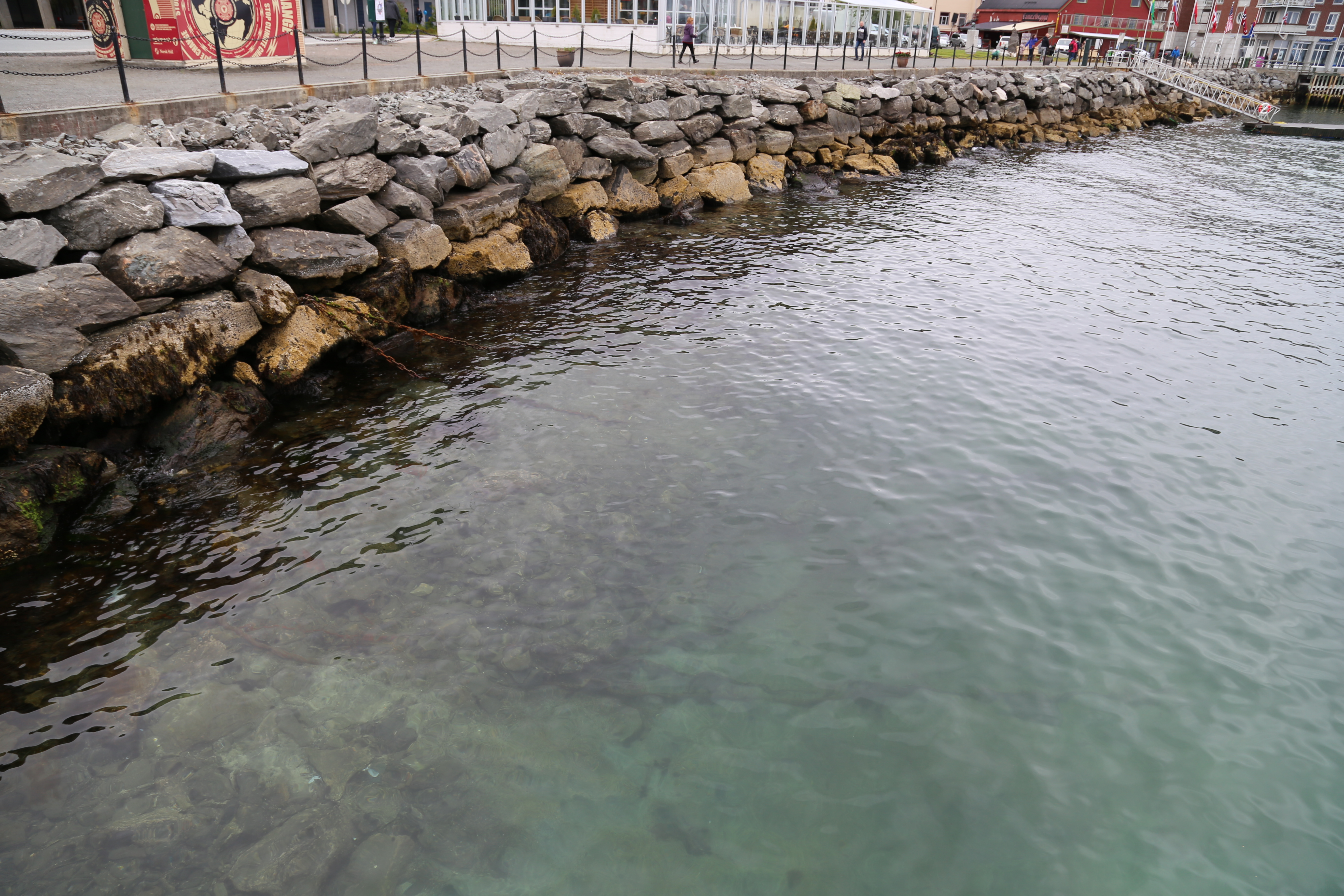 2014 Europe Trip Day 19 - Norway (Harstad & Kasfjord: Grete, Music Festival, Trondenes Church, Israelsen Gravestones, Viking Museum, Dinner with Israelsen Relatives (Tor-Arne & Bodil Eilertsen, Ernst Eilertsen, Arvid & Tove Eilertsen), Nupen Midnight Sun)