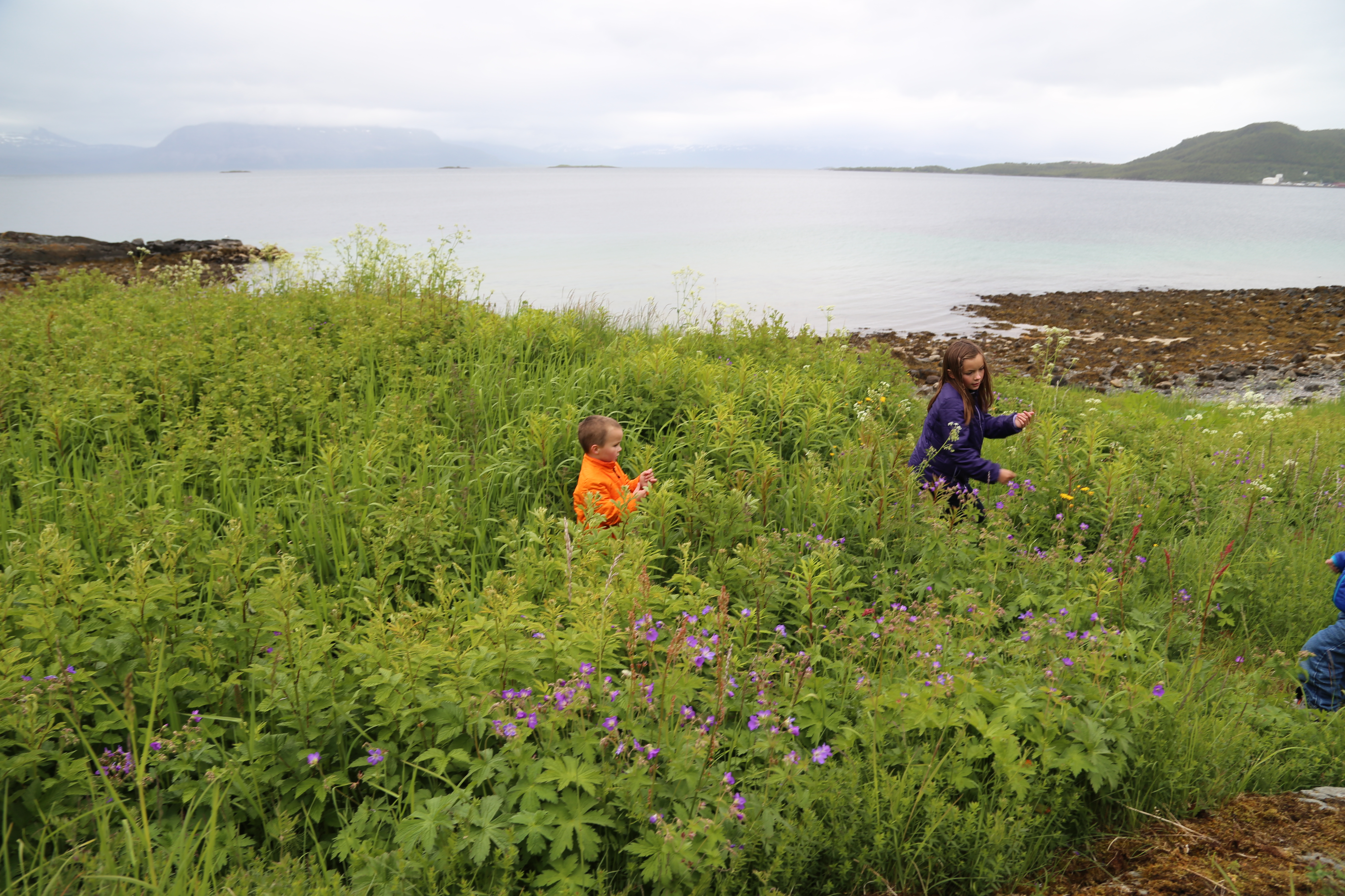 2014 Europe Trip Day 19 - Norway (Harstad & Kasfjord: Grete, Music Festival, Trondenes Church, Israelsen Gravestones, Viking Museum, Dinner with Israelsen Relatives (Tor-Arne & Bodil Eilertsen, Ernst Eilertsen, Arvid & Tove Eilertsen), Nupen Midnight Sun)