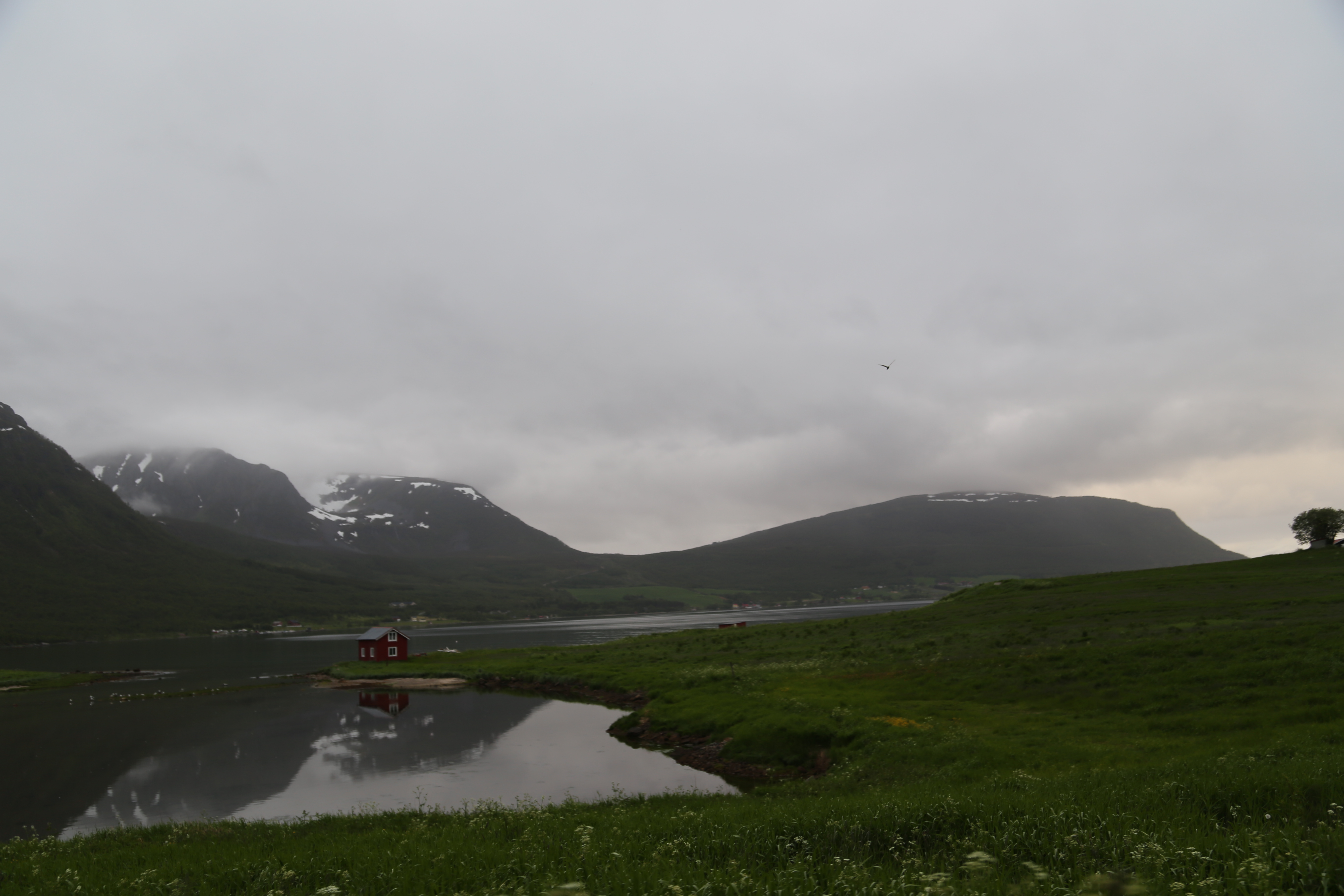 2014 Europe Trip Day 19 - Norway (Harstad & Kasfjord: Grete, Music Festival, Trondenes Church, Israelsen Gravestones, Viking Museum, Dinner with Israelsen Relatives (Tor-Arne & Bodil Eilertsen, Ernst Eilertsen, Arvid & Tove Eilertsen), Nupen Midnight Sun)