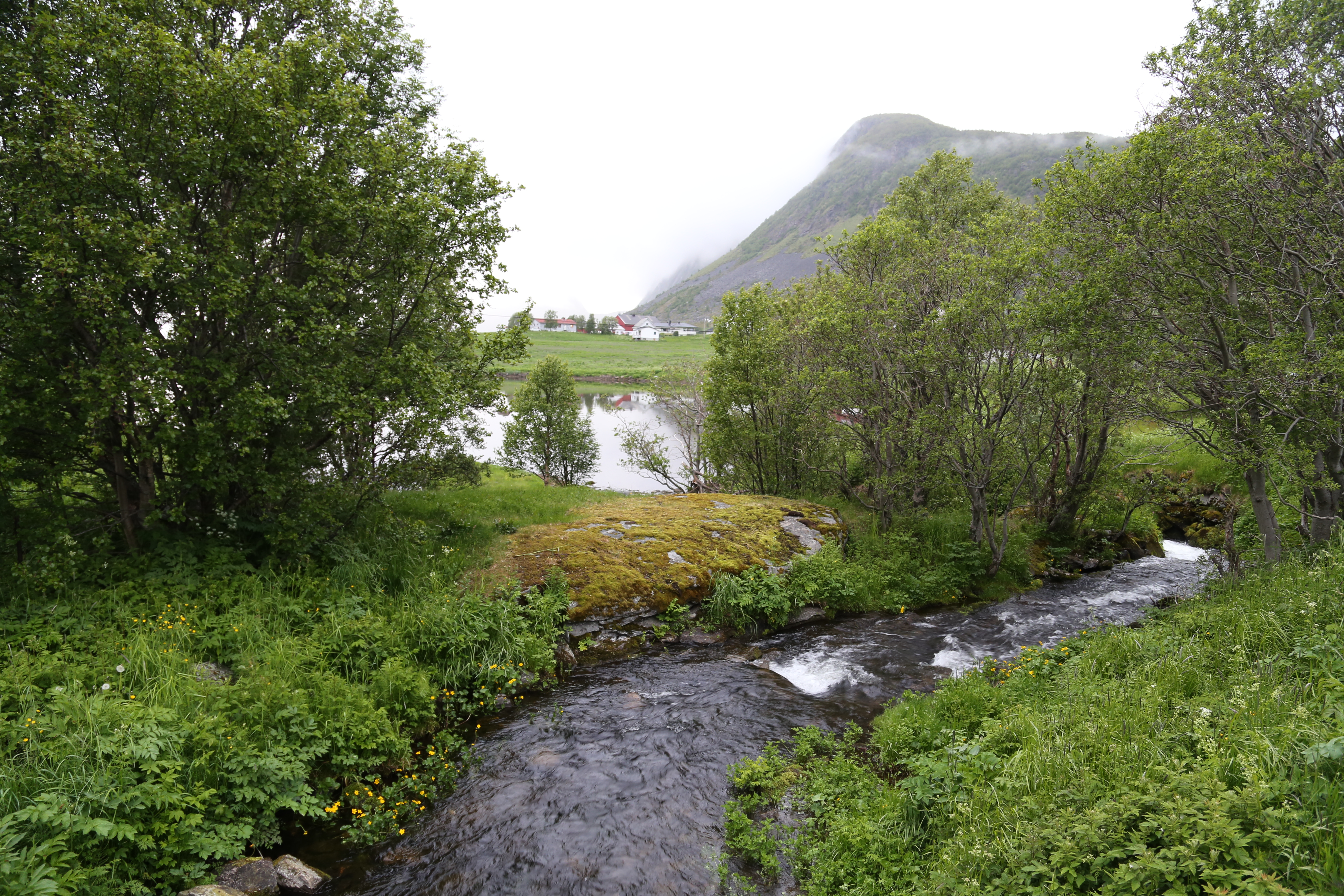 2014 Europe Trip Day 19 - Norway (Harstad & Kasfjord: Grete, Music Festival, Trondenes Church, Israelsen Gravestones, Viking Museum, Dinner with Israelsen Relatives (Tor-Arne & Bodil Eilertsen, Ernst Eilertsen, Arvid & Tove Eilertsen), Nupen Midnight Sun)