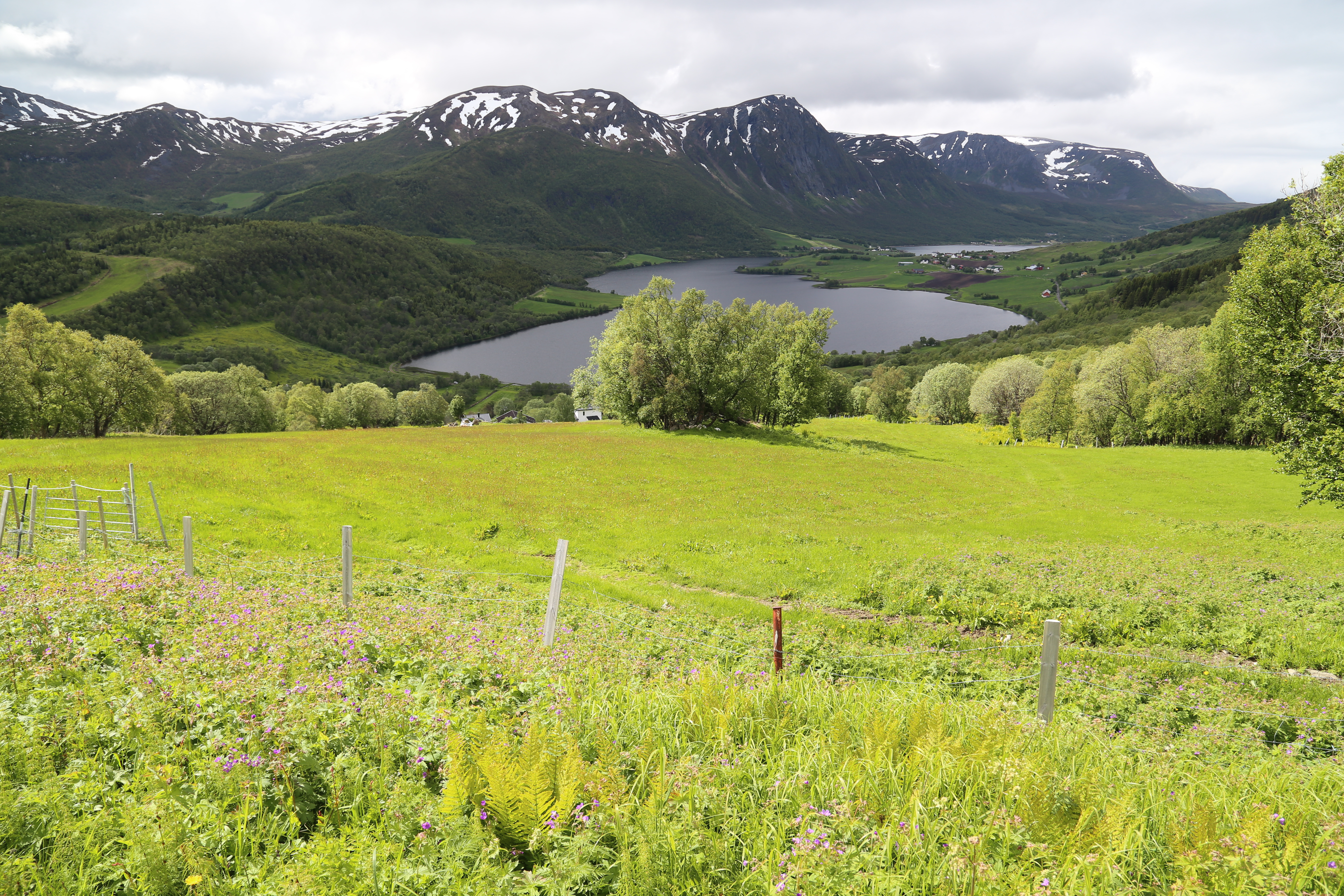 2014 Europe Trip Day 20 - Norway (Kasfjord & Aun: Midnight Sun, Aun, Home Where Andrew M. Israelsen Was Born, Where Andrew M. Israelsen Was Baptized (Kasfjordvatnet Lake), Eilertsen Farm, Harstad / Narvik Evenes Airport, Bergen Airport, 1860 Nordnes Home)