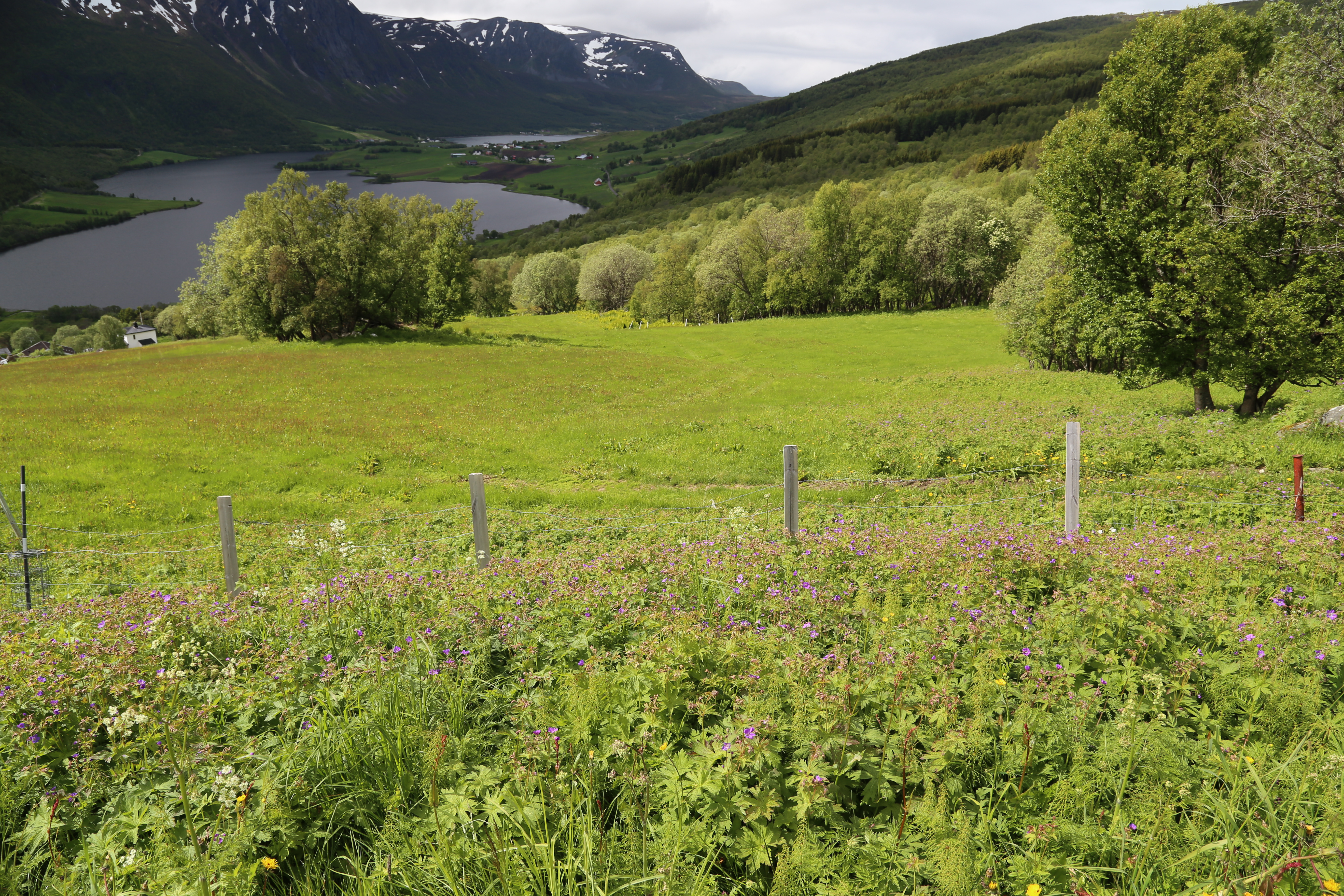 2014 Europe Trip Day 20 - Norway (Kasfjord & Aun: Midnight Sun, Aun, Home Where Andrew M. Israelsen Was Born, Where Andrew M. Israelsen Was Baptized (Kasfjordvatnet Lake), Eilertsen Farm, Harstad / Narvik Evenes Airport, Bergen Airport, 1860 Nordnes Home)