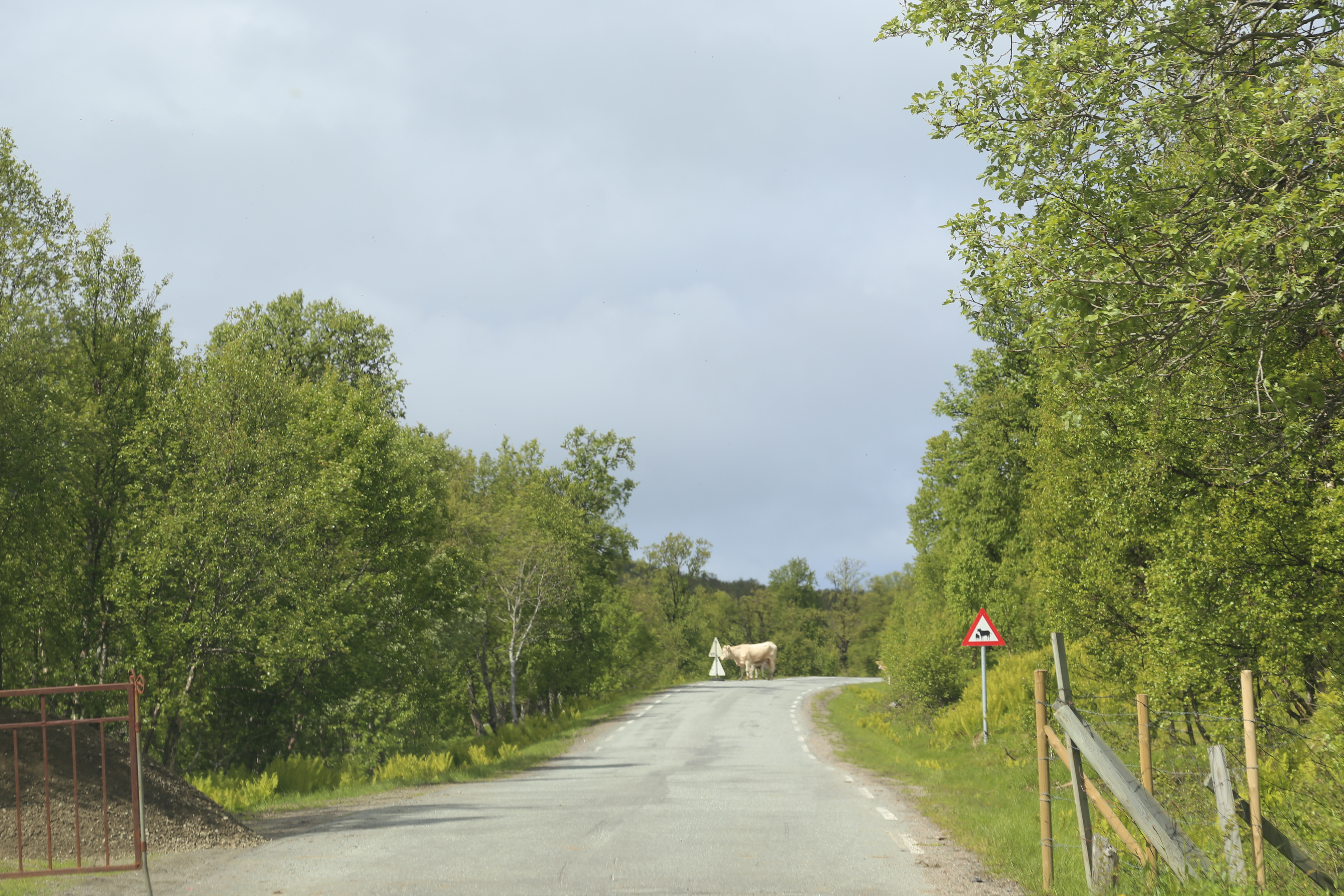 2014 Europe Trip Day 20 - Norway (Kasfjord & Aun: Midnight Sun, Aun, Home Where Andrew M. Israelsen Was Born, Where Andrew M. Israelsen Was Baptized (Kasfjordvatnet Lake), Eilertsen Farm, Harstad / Narvik Evenes Airport, Bergen Airport, 1860 Nordnes Home)