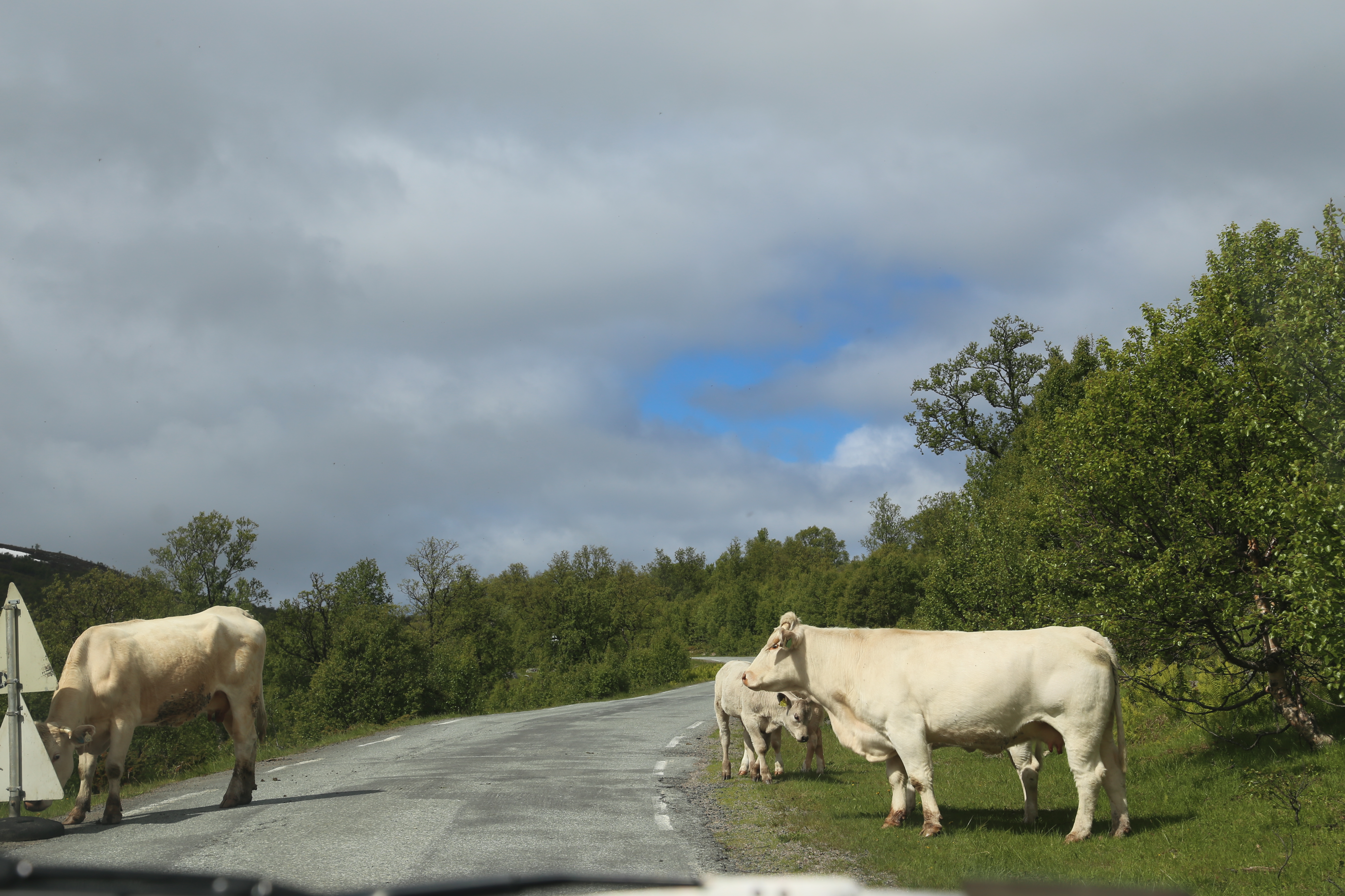 2014 Europe Trip Day 20 - Norway (Kasfjord & Aun: Midnight Sun, Aun, Home Where Andrew M. Israelsen Was Born, Where Andrew M. Israelsen Was Baptized (Kasfjordvatnet Lake), Eilertsen Farm, Harstad / Narvik Evenes Airport, Bergen Airport, 1860 Nordnes Home)