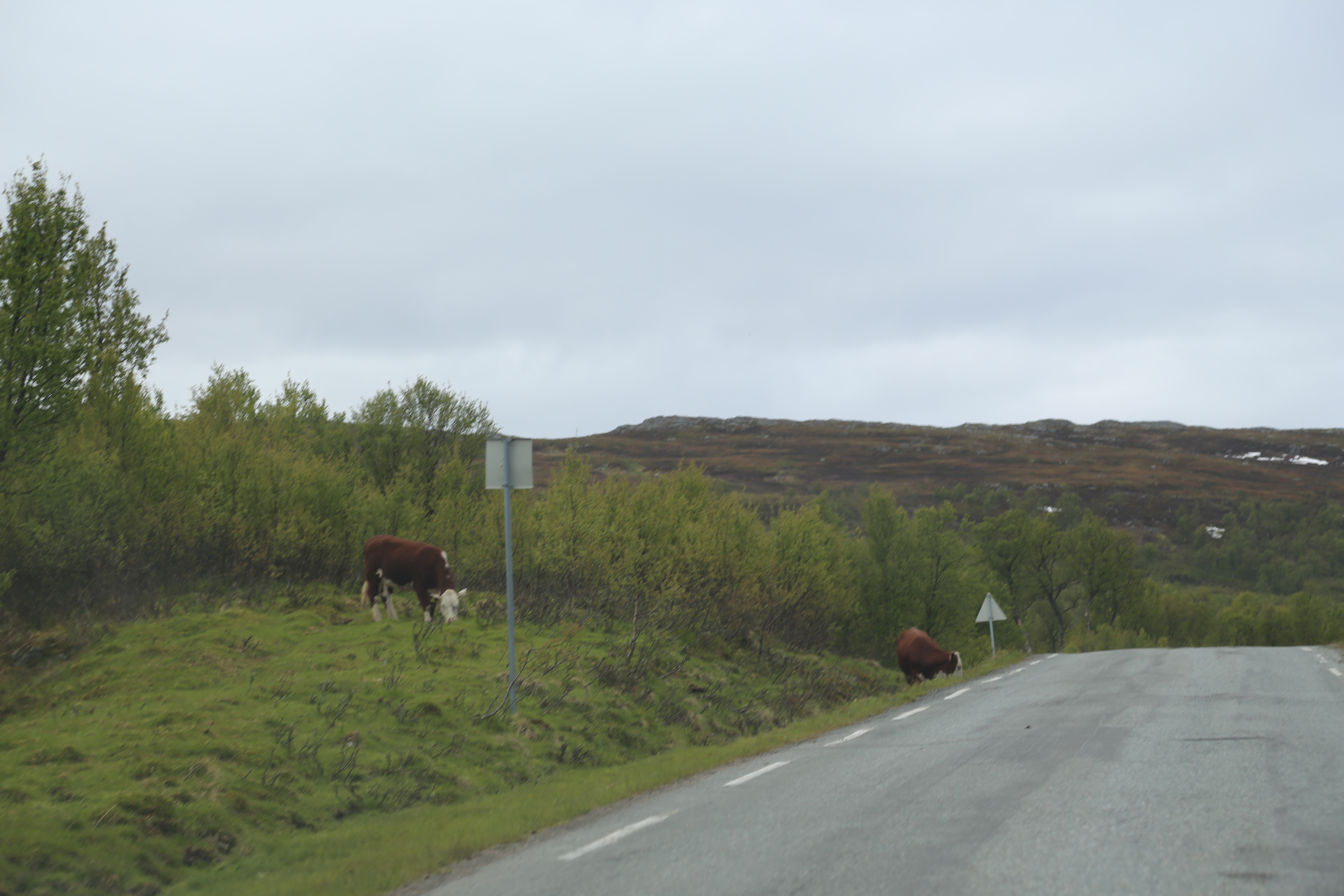 2014 Europe Trip Day 20 - Norway (Kasfjord & Aun: Midnight Sun, Aun, Home Where Andrew M. Israelsen Was Born, Where Andrew M. Israelsen Was Baptized (Kasfjordvatnet Lake), Eilertsen Farm, Harstad / Narvik Evenes Airport, Bergen Airport, 1860 Nordnes Home)