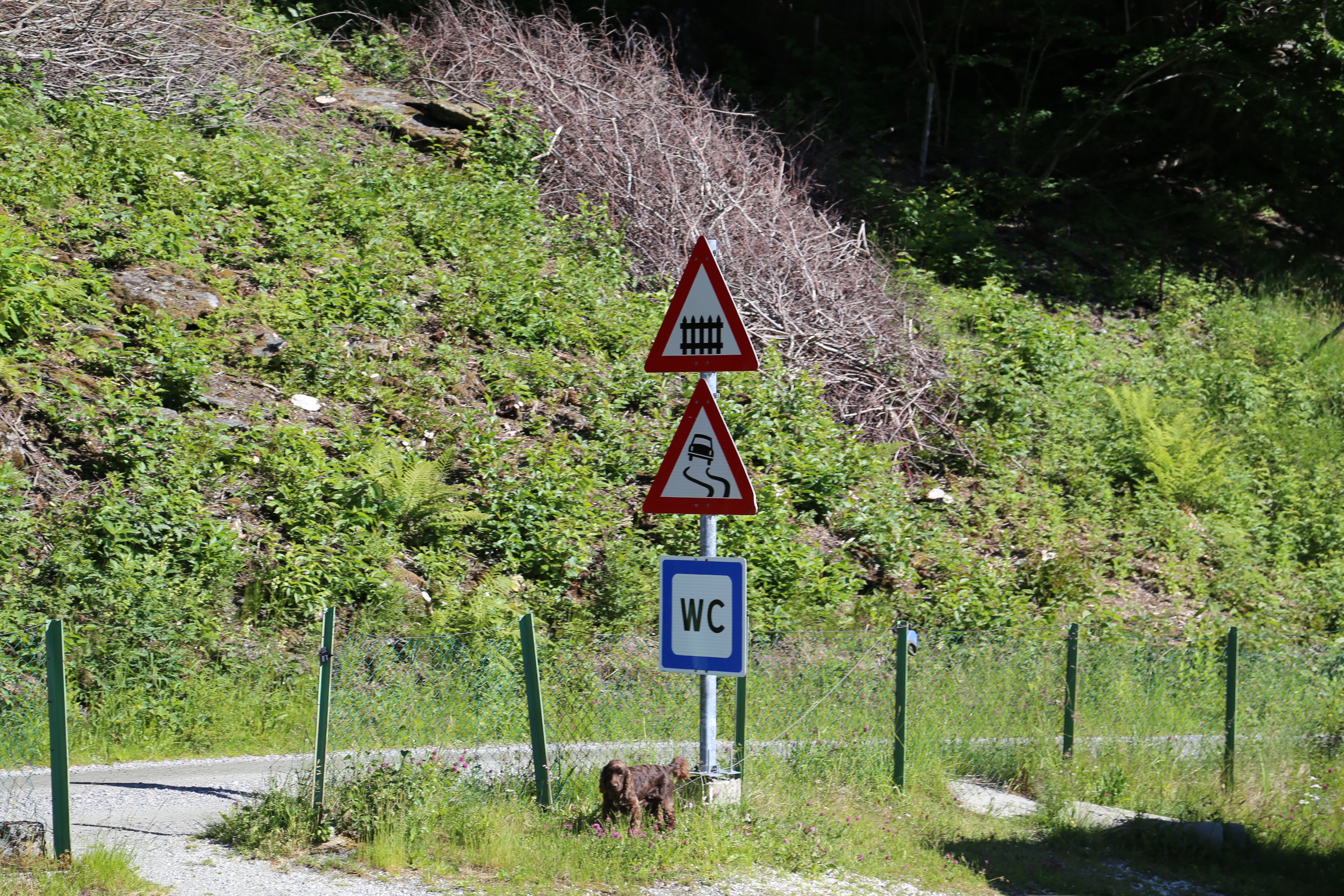 2014 Europe Trip - Funny European Signs