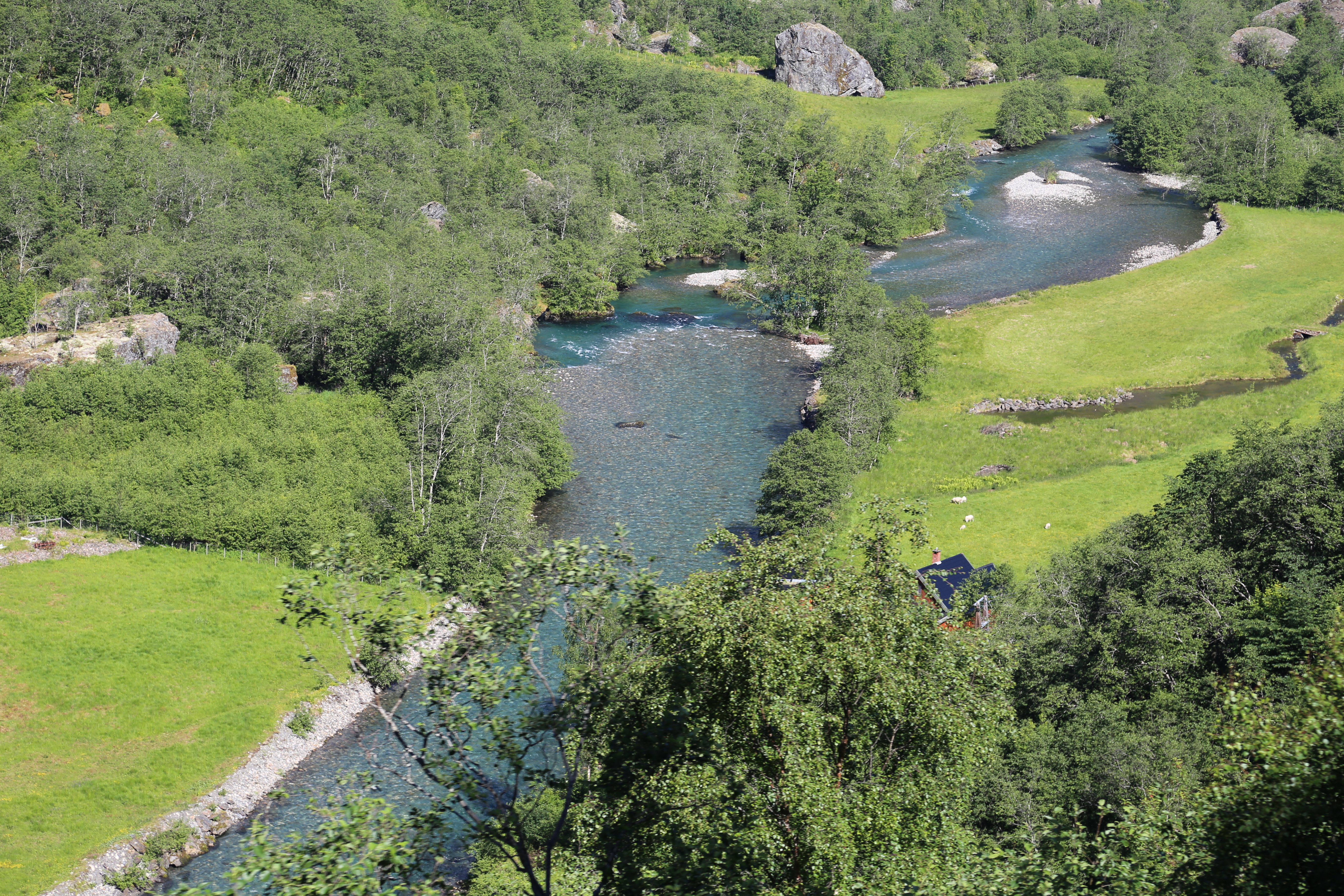 2014 Europe Trip Day 21 - Norway (Norway in a Nutshell (Roundtrip from Bergen via Myrdal): Train Bergen-Myrdal, The Flåm Railway, Fjord Cruise Flam-Gudvangen, Nærøyfjord (Narrowest Fjord in World), Bus Gudvangen-Voss, Train Voss-Bergen)