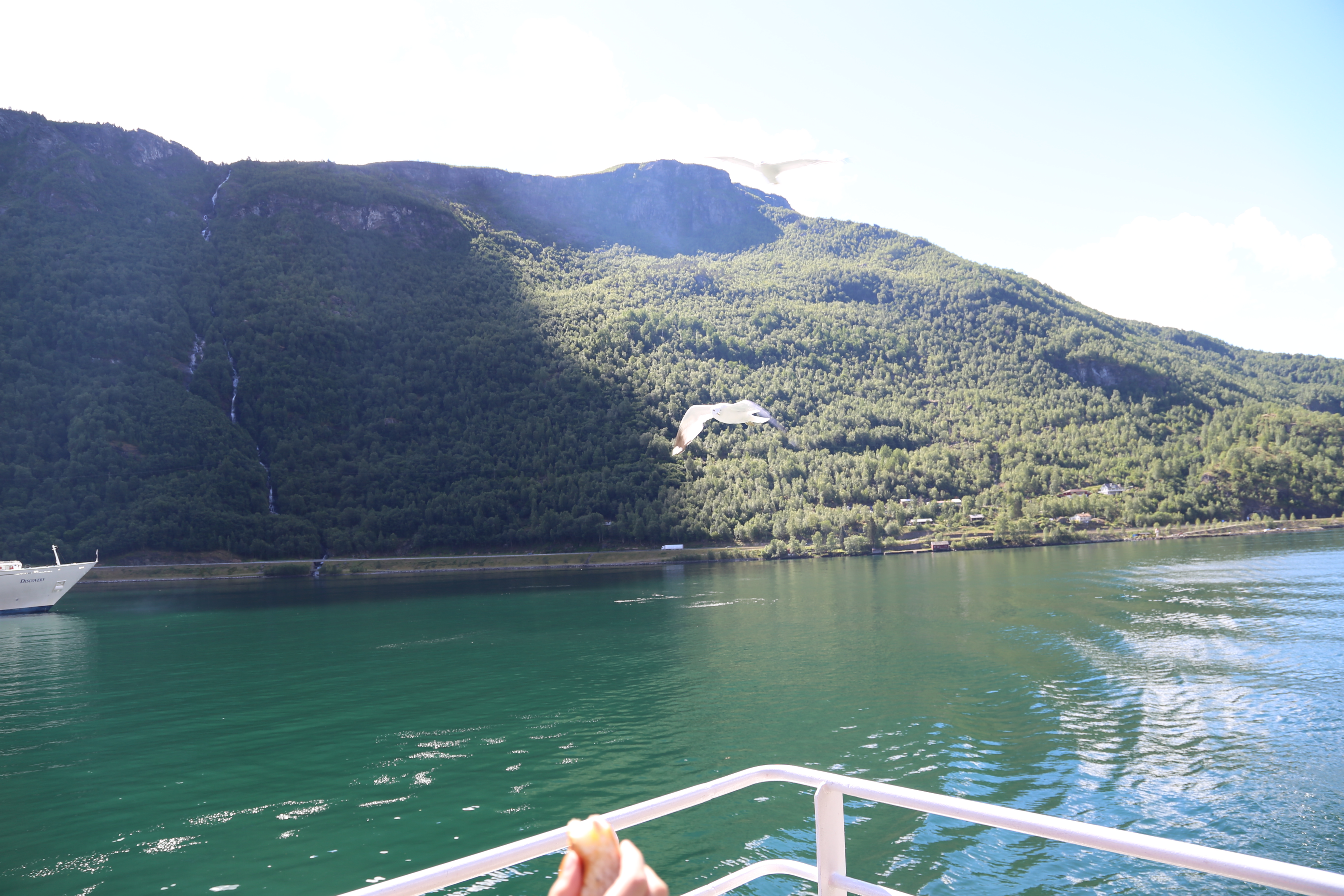 2014 Europe Trip Day 21 - Norway (Norway in a Nutshell (Roundtrip from Bergen via Myrdal): Train Bergen-Myrdal, The Flåm Railway, Fjord Cruise Flam-Gudvangen, Nærøyfjord (Narrowest Fjord in World), Bus Gudvangen-Voss, Train Voss-Bergen)