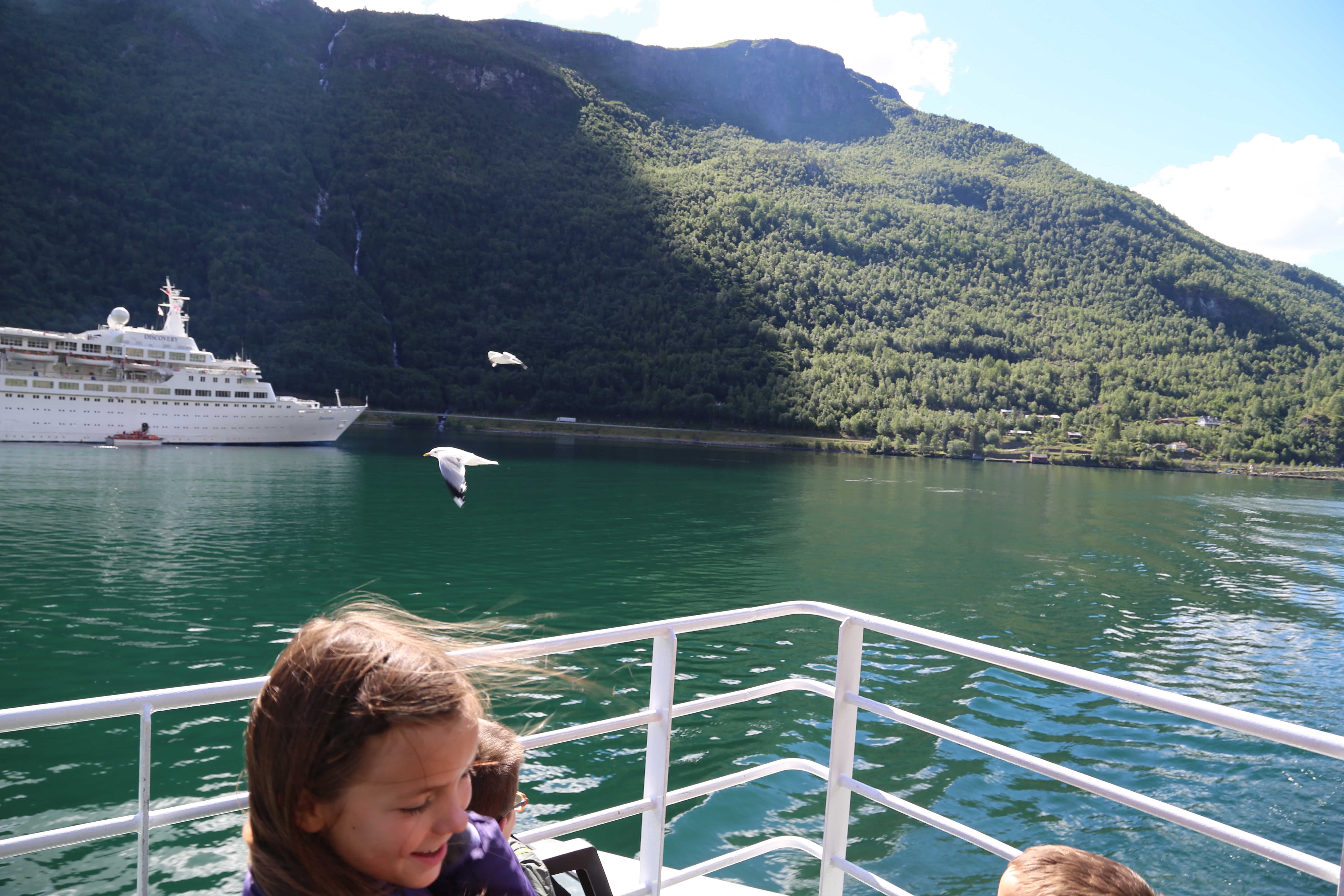 2014 Europe Trip Day 21 - Norway (Norway in a Nutshell (Roundtrip from Bergen via Myrdal): Train Bergen-Myrdal, The Flåm Railway, Fjord Cruise Flam-Gudvangen, Nærøyfjord (Narrowest Fjord in World), Bus Gudvangen-Voss, Train Voss-Bergen)