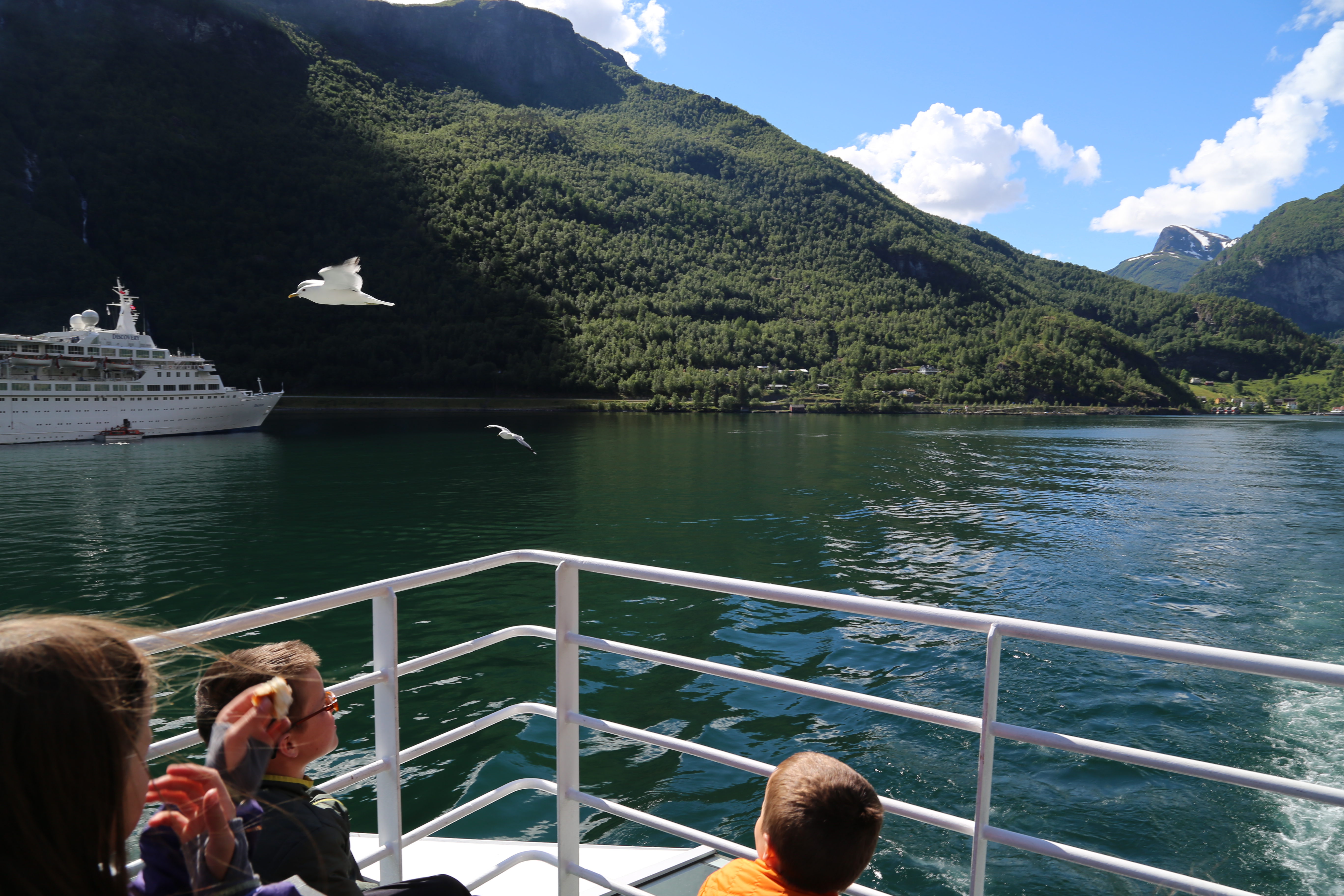 2014 Europe Trip Day 21 - Norway (Norway in a Nutshell (Roundtrip from Bergen via Myrdal): Train Bergen-Myrdal, The Flåm Railway, Fjord Cruise Flam-Gudvangen, Nærøyfjord (Narrowest Fjord in World), Bus Gudvangen-Voss, Train Voss-Bergen)