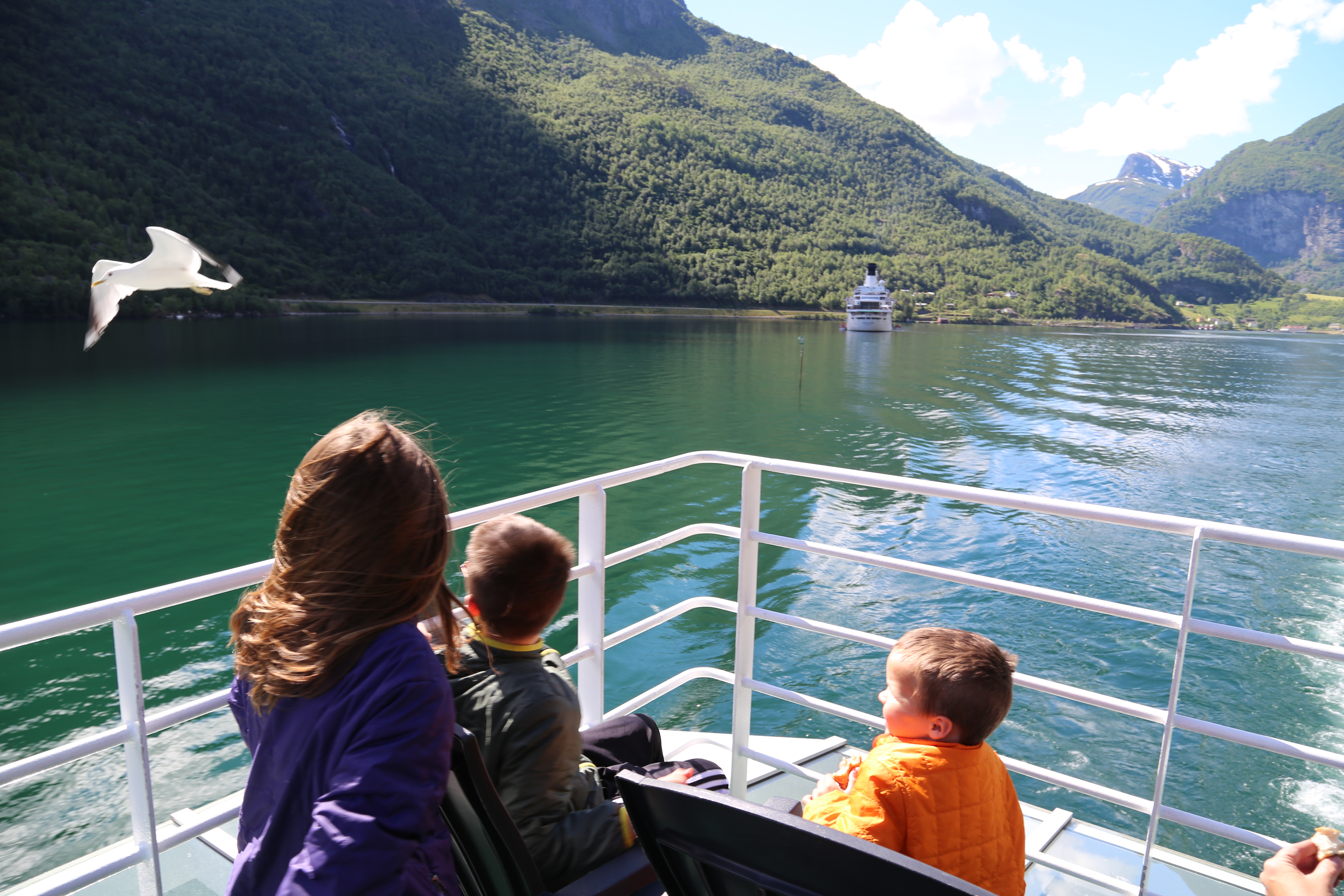 2014 Europe Trip Day 21 - Norway (Norway in a Nutshell (Roundtrip from Bergen via Myrdal): Train Bergen-Myrdal, The Flåm Railway, Fjord Cruise Flam-Gudvangen, Nærøyfjord (Narrowest Fjord in World), Bus Gudvangen-Voss, Train Voss-Bergen)