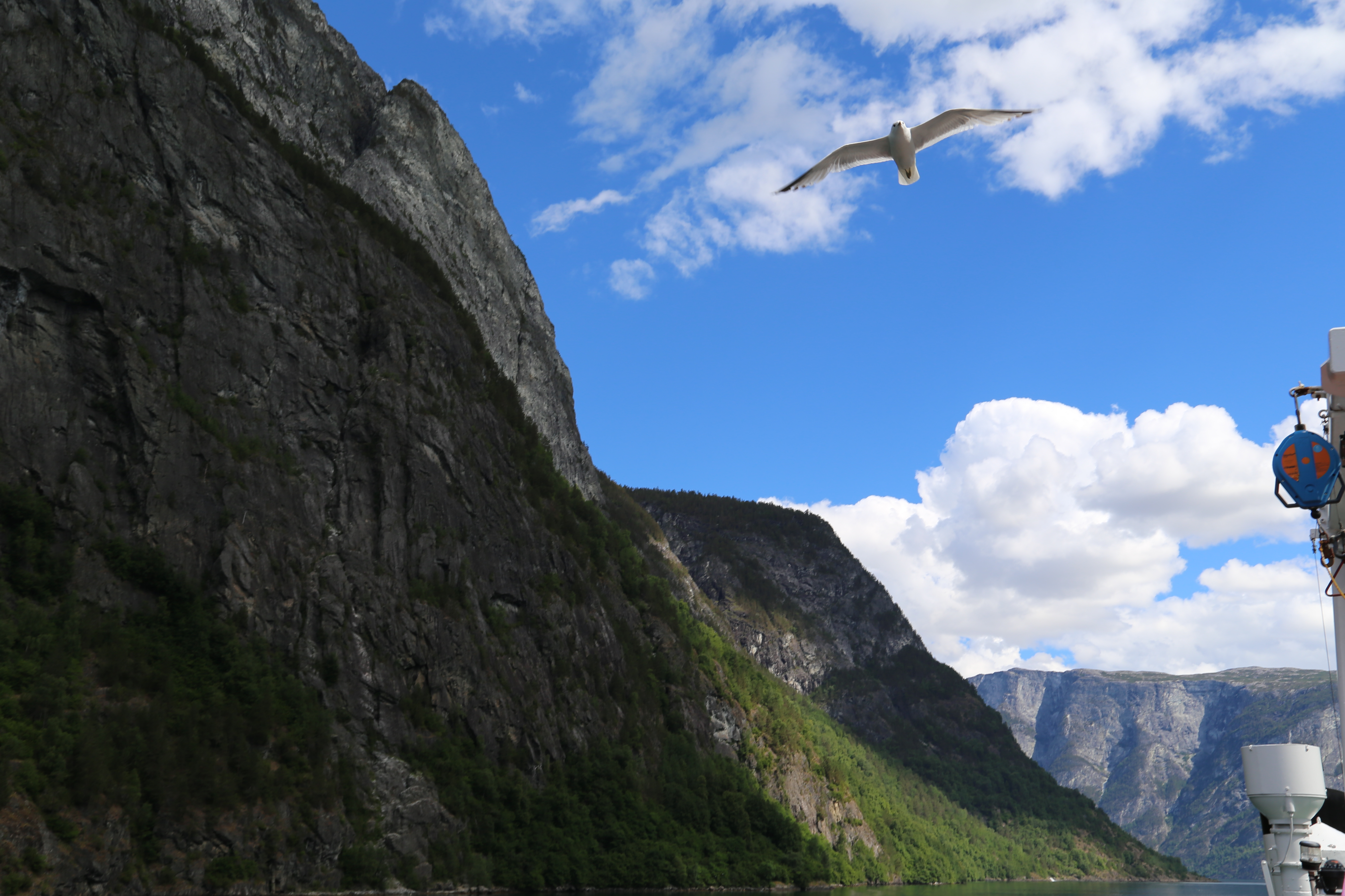 2014 Europe Trip Day 21 - Norway (Norway in a Nutshell (Roundtrip from Bergen via Myrdal): Train Bergen-Myrdal, The Flåm Railway, Fjord Cruise Flam-Gudvangen, Nærøyfjord (Narrowest Fjord in World), Bus Gudvangen-Voss, Train Voss-Bergen)