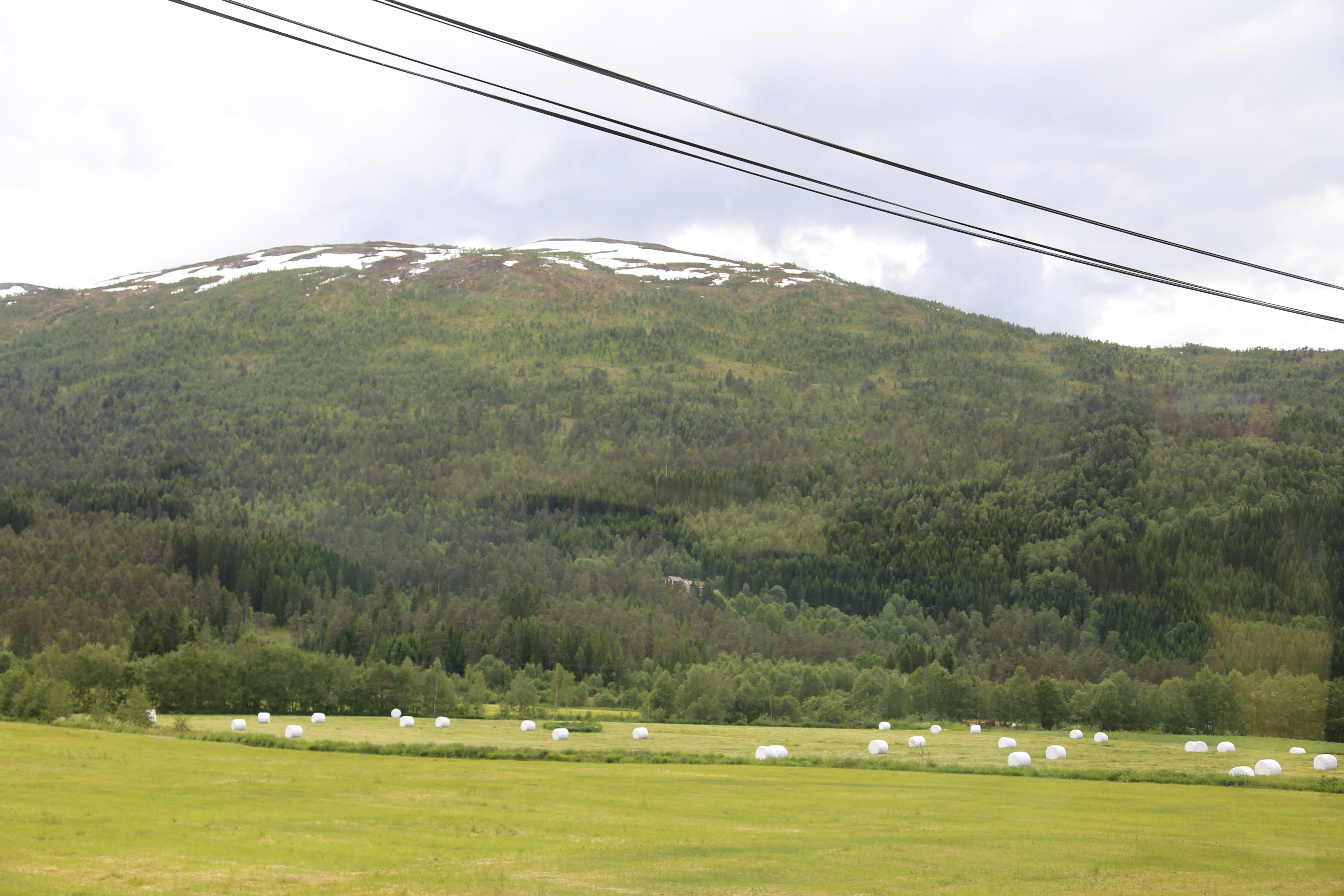 2014 Europe Trip Day 21 - Norway (Norway in a Nutshell (Roundtrip from Bergen via Myrdal): Train Bergen-Myrdal, The Flåm Railway, Fjord Cruise Flam-Gudvangen, Nærøyfjord (Narrowest Fjord in World), Bus Gudvangen-Voss, Train Voss-Bergen)