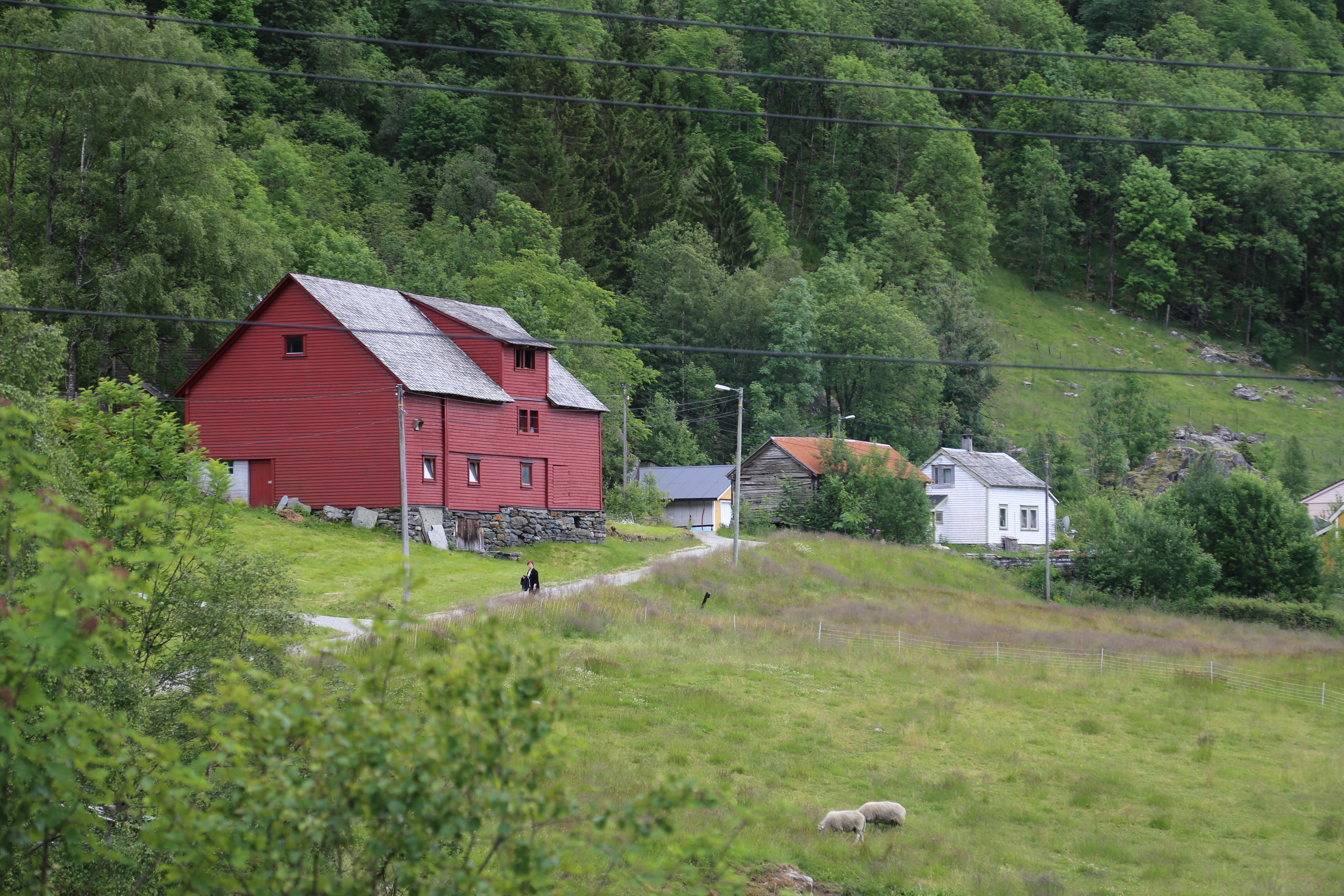 2014 Europe Trip Day 21 - Norway (Norway in a Nutshell (Roundtrip from Bergen via Myrdal): Train Bergen-Myrdal, The Flåm Railway, Fjord Cruise Flam-Gudvangen, Nærøyfjord (Narrowest Fjord in World), Bus Gudvangen-Voss, Train Voss-Bergen)