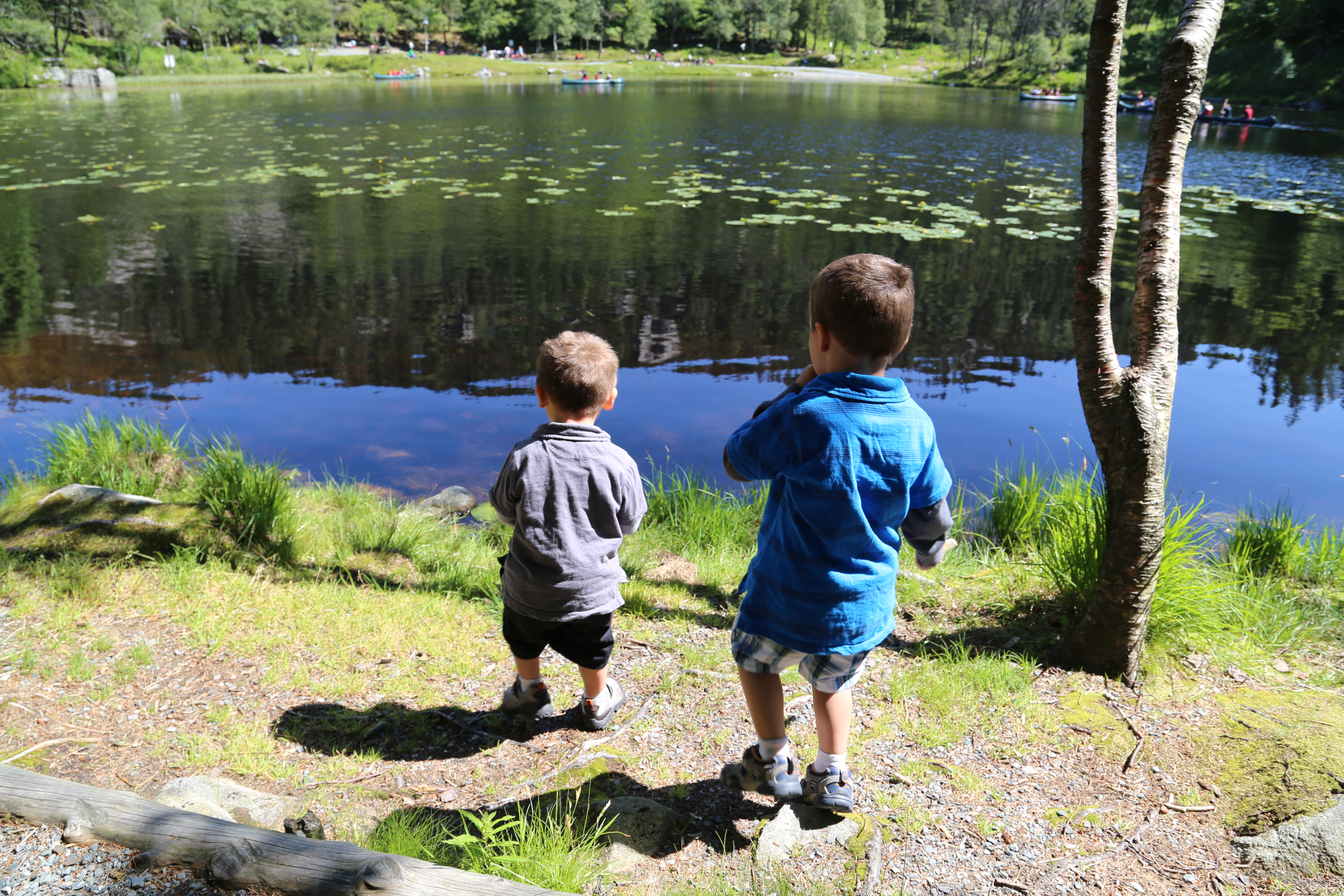 2014 Europe Trip Day 22 - Norway (Bergen: Fish Cakes, Fløibanen Funicular (Cable Railway up Mountain), Canoeing on Skomakerdiket Lake, Fisketorget (The Fish Market), Bryggen Wharf, Nordnes Seawater Pool, Jumping into the North Sea, Nordnes Alleys)