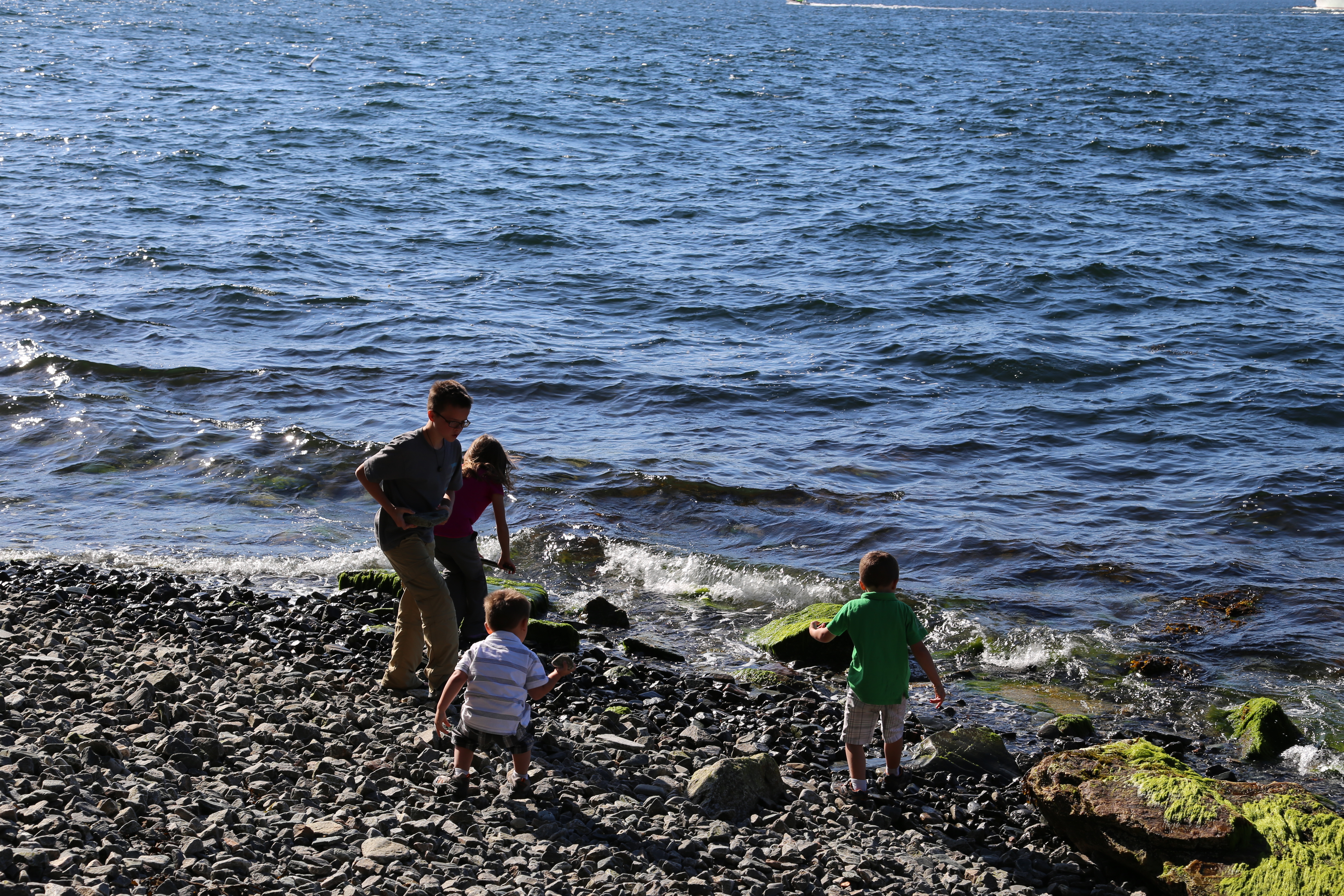 2014 Europe Trip Day 23 - Norway (Bergens Expressen City & Panorama Tour (Small Road Train), Fish Market Salmon and Whale, Bergen Light-Rail, Mormon church, Fantoft Stave Church, Downtown Bergen, Viking Playground, Beach)