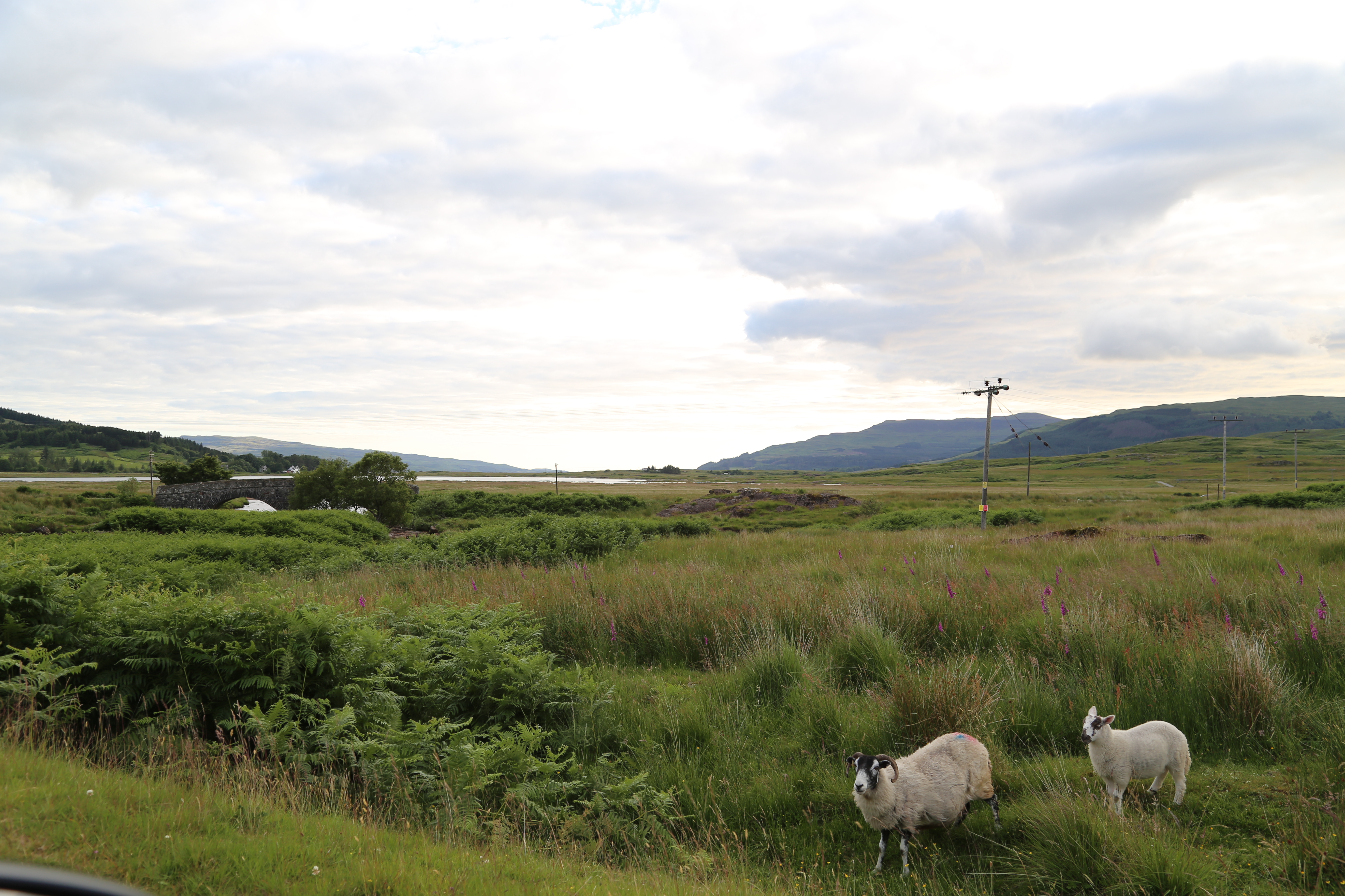 2014 Europe Trip Day 25 - Scotland (Stirling Monument, Doune Castle (Monty Python Castle), Loch Lomond, Ben Lomond, Inverary Castle, Crisps, Tunnock's, Oban Ferry to Isle of Mull, Duart Castle, Argyll Arms Hotel, Haggis, Neeps, & Tatties, Ardachy House)