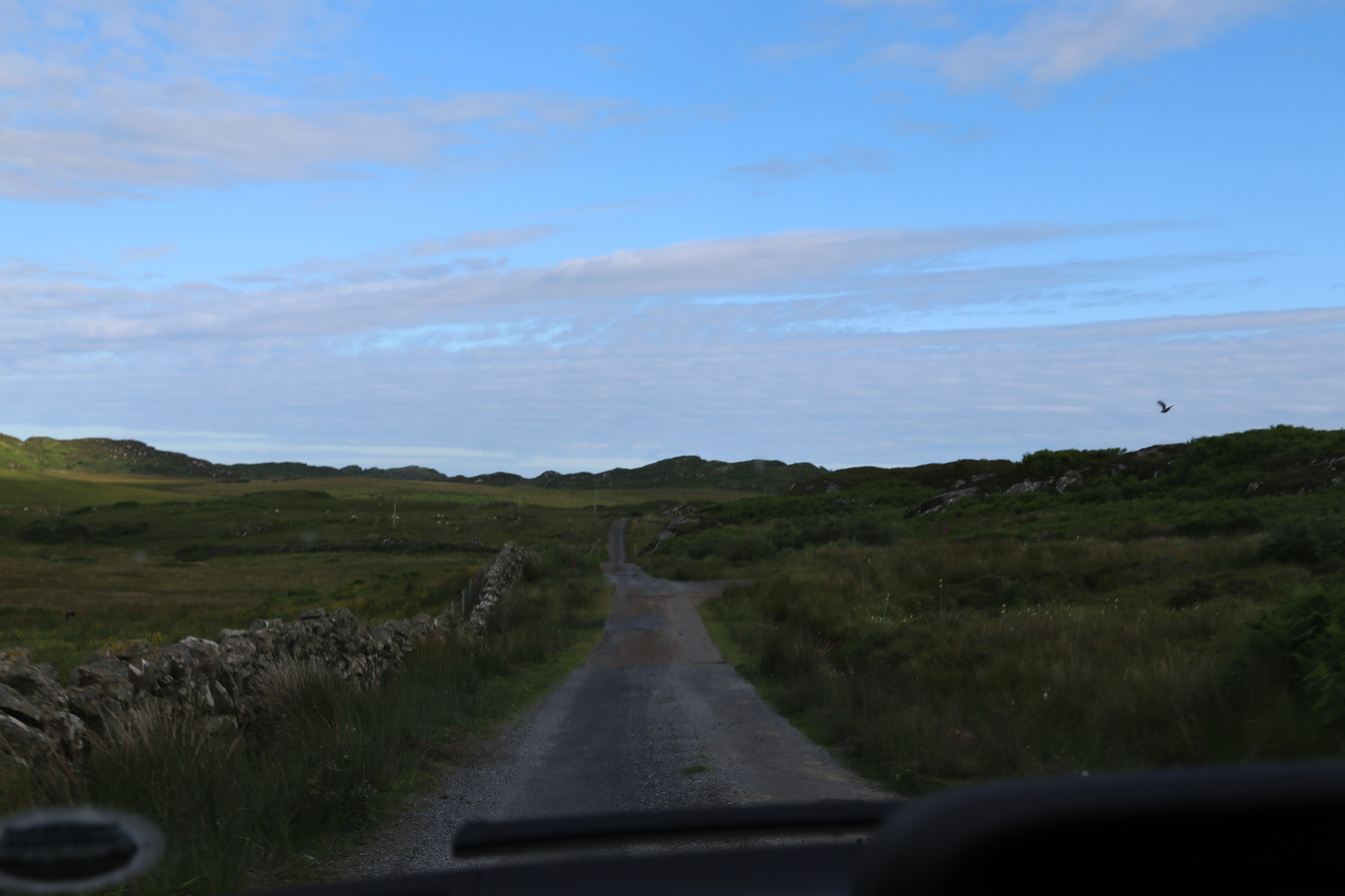 2014 Europe Trip Day 26 - Scotland (Ardachy House Yurt, Heilan' Coo, Fionnphort-Iona Ferry, Iona Nunnery, Iona Abbey (Britain Christianity Birthplace), Scottish Heather, Tobermory-Kilchoan Ferry, Castle Tioram, Glenfinnan Monument, Biting Midges!)