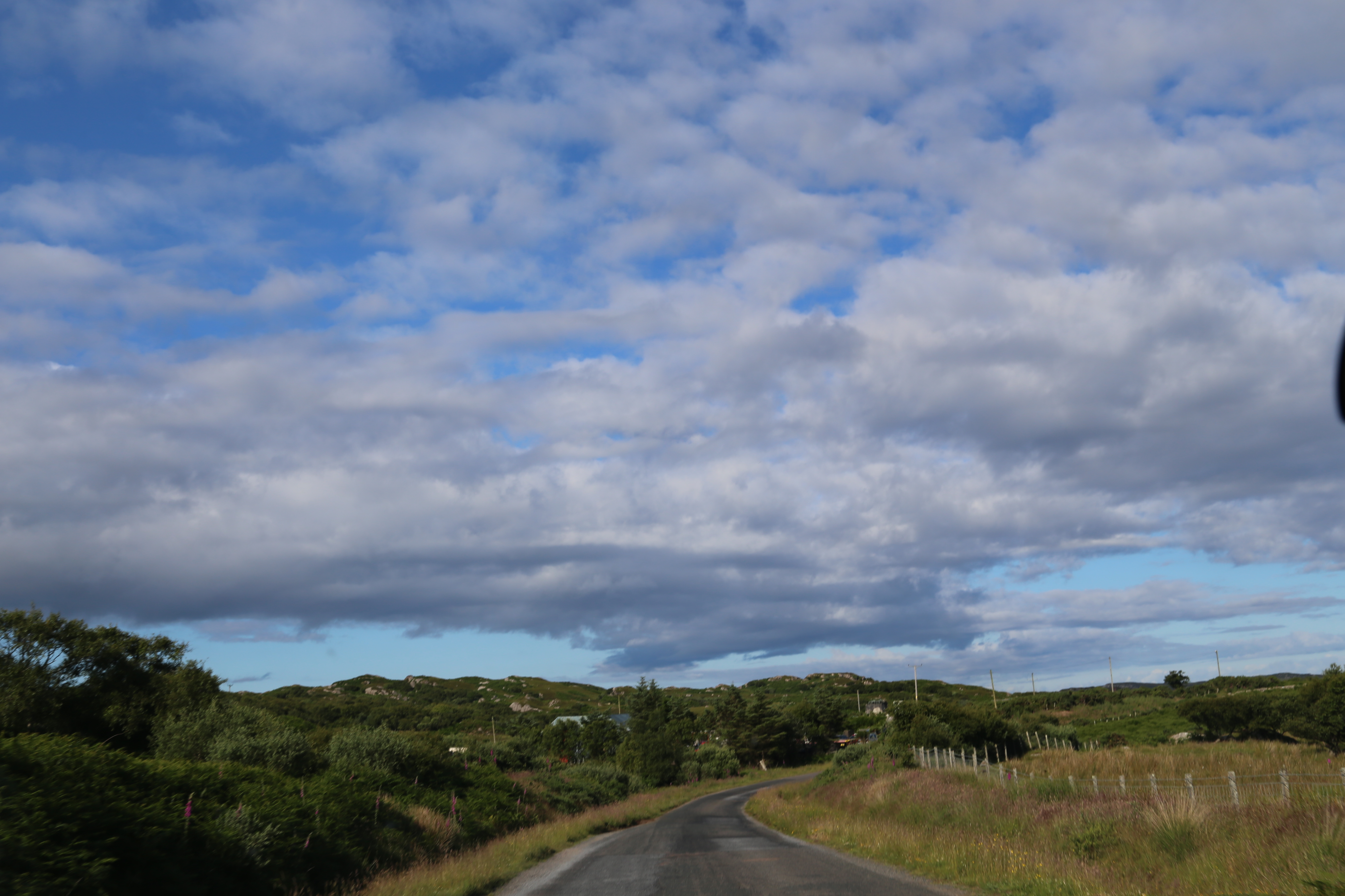 2014 Europe Trip Day 26 - Scotland (Ardachy House Yurt, Heilan' Coo, Fionnphort-Iona Ferry, Iona Nunnery, Iona Abbey (Britain Christianity Birthplace), Scottish Heather, Tobermory-Kilchoan Ferry, Castle Tioram, Glenfinnan Monument, Biting Midges!)