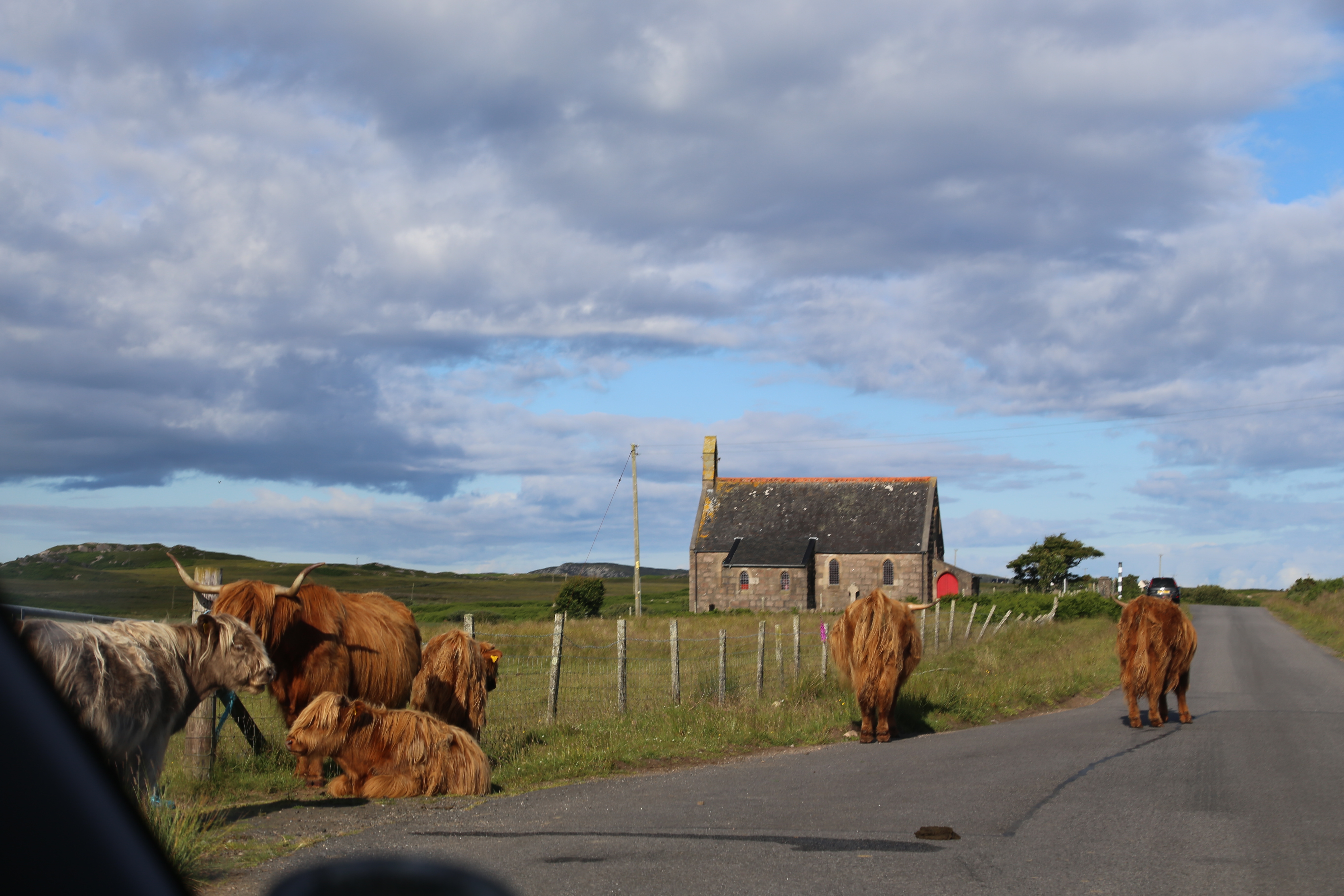 2014 Europe Trip Day 26 - Scotland (Ardachy House Yurt, Heilan' Coo, Fionnphort-Iona Ferry, Iona Nunnery, Iona Abbey (Britain Christianity Birthplace), Scottish Heather, Tobermory-Kilchoan Ferry, Castle Tioram, Glenfinnan Monument, Biting Midges!)