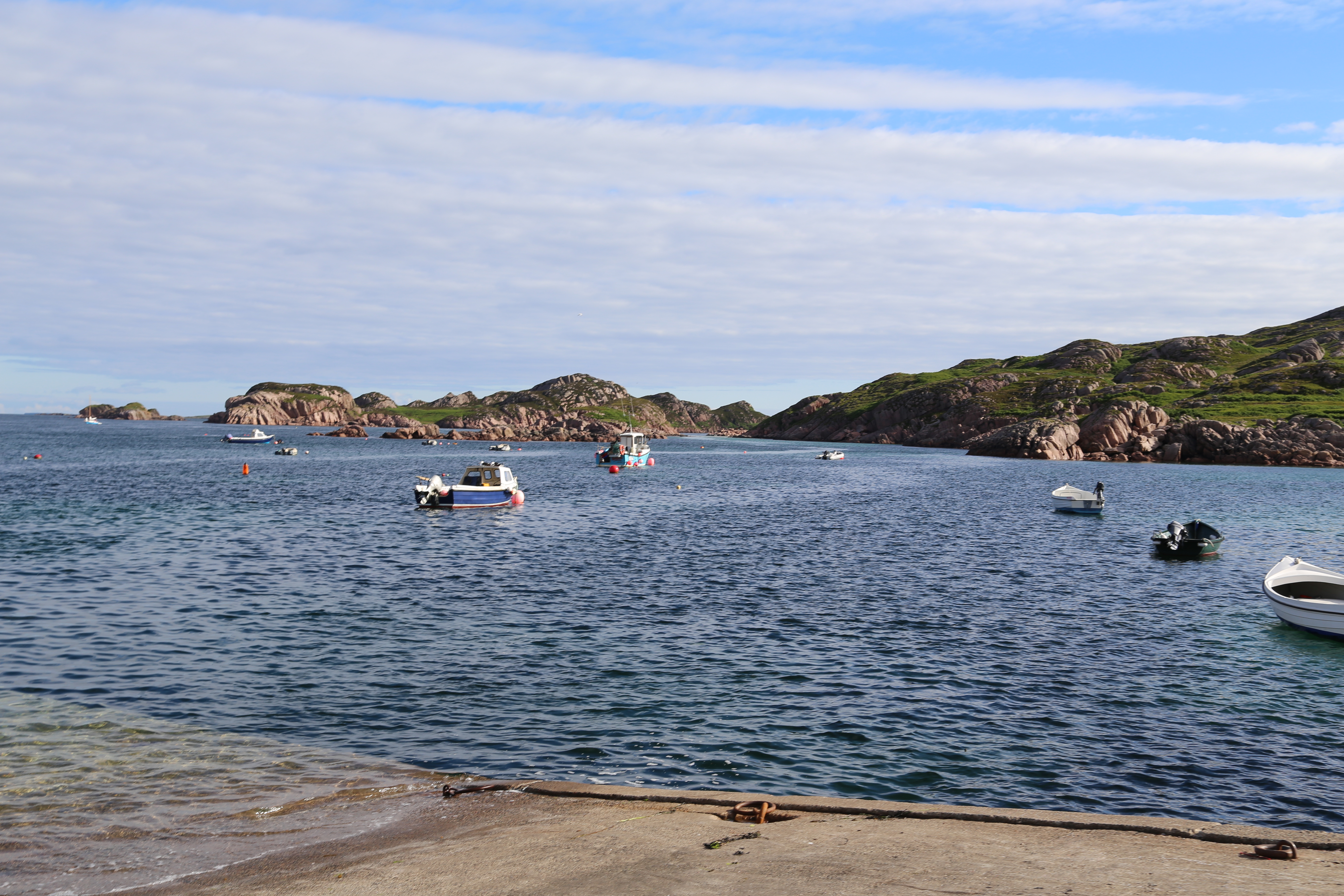 2014 Europe Trip Day 26 - Scotland (Ardachy House Yurt, Heilan' Coo, Fionnphort-Iona Ferry, Iona Nunnery, Iona Abbey (Britain Christianity Birthplace), Scottish Heather, Tobermory-Kilchoan Ferry, Castle Tioram, Glenfinnan Monument, Biting Midges!)