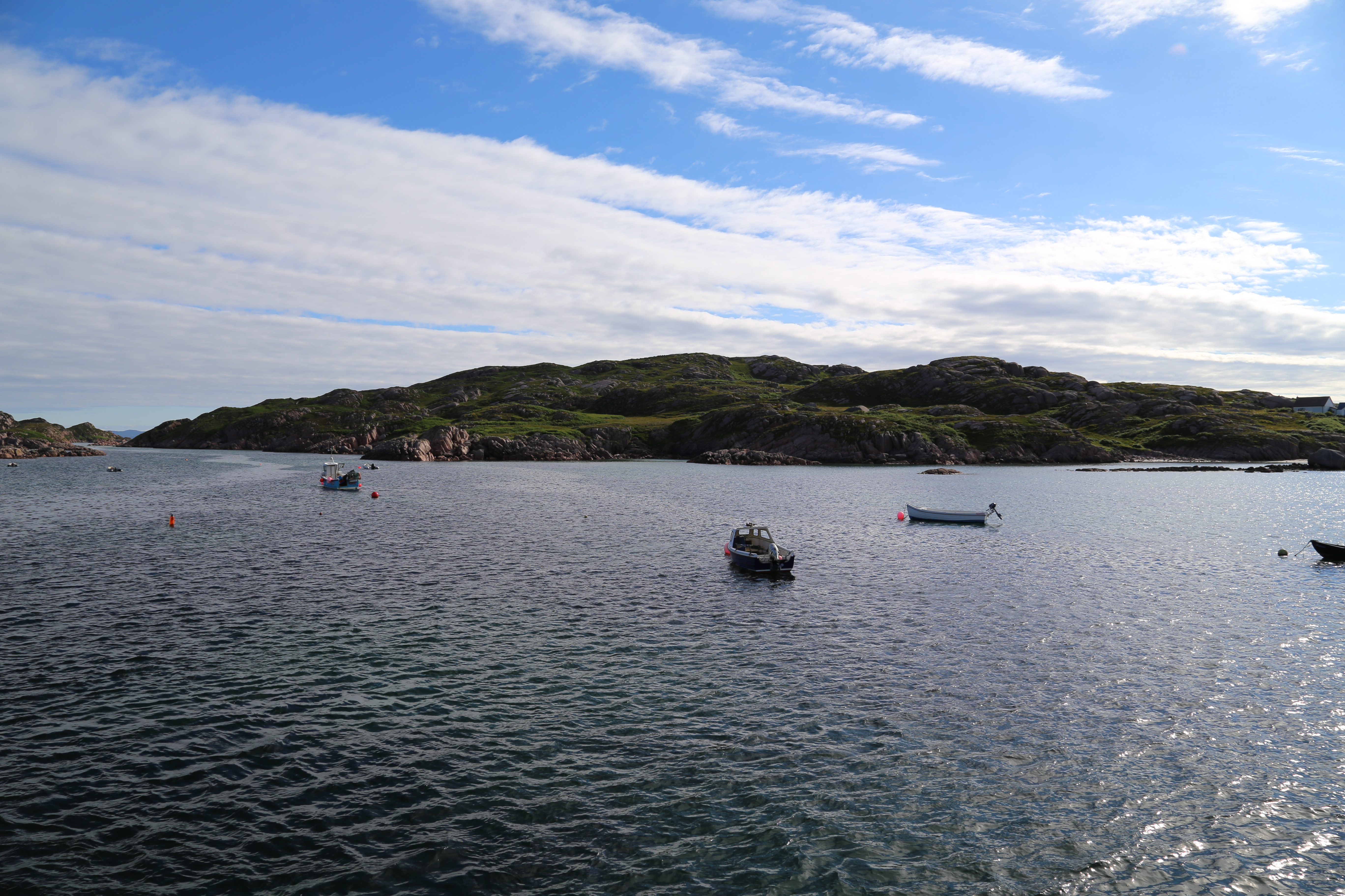 2014 Europe Trip Day 26 - Scotland (Ardachy House Yurt, Heilan' Coo, Fionnphort-Iona Ferry, Iona Nunnery, Iona Abbey (Britain Christianity Birthplace), Scottish Heather, Tobermory-Kilchoan Ferry, Castle Tioram, Glenfinnan Monument, Biting Midges!)