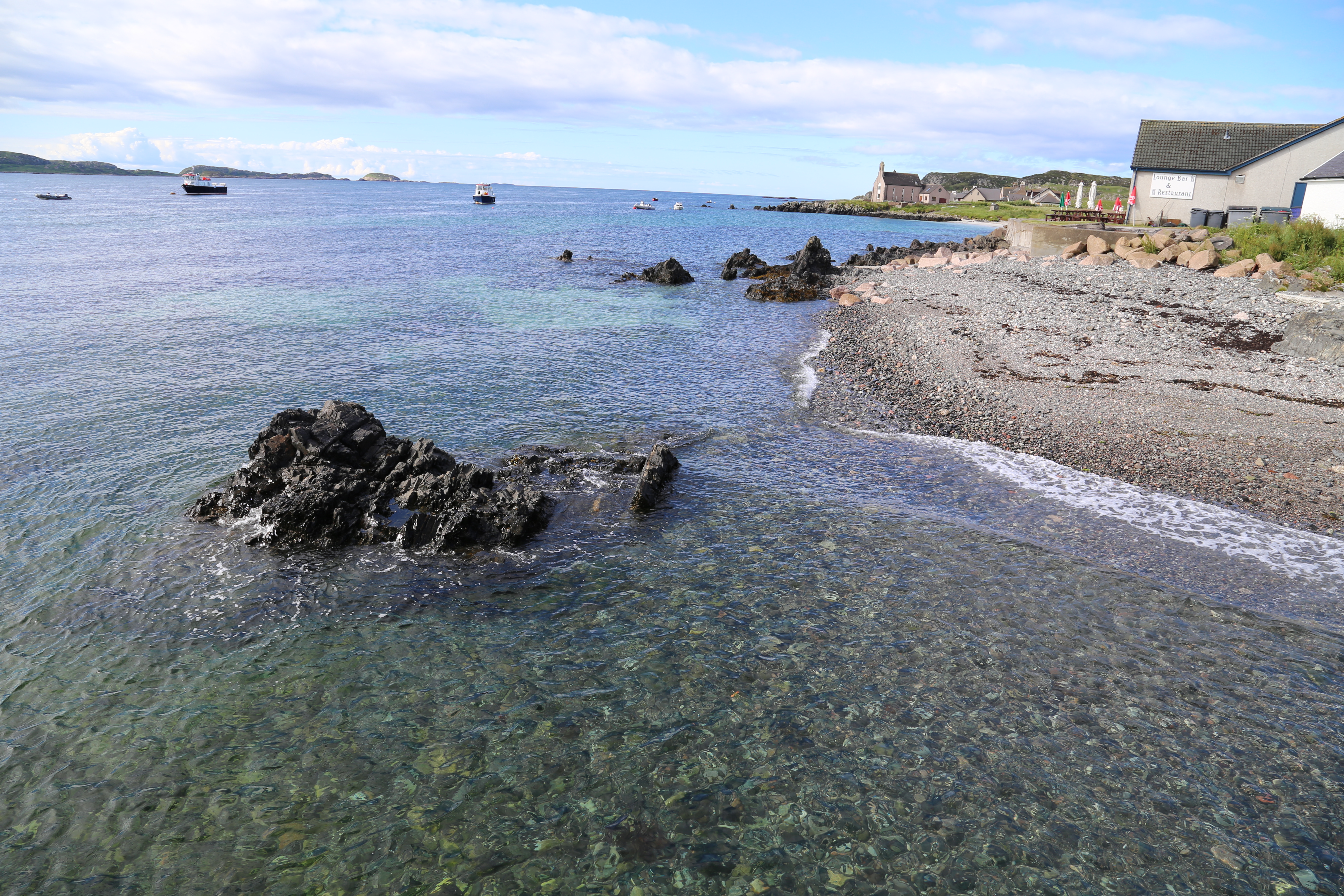 2014 Europe Trip Day 26 - Scotland (Ardachy House Yurt, Heilan' Coo, Fionnphort-Iona Ferry, Iona Nunnery, Iona Abbey (Britain Christianity Birthplace), Scottish Heather, Tobermory-Kilchoan Ferry, Castle Tioram, Glenfinnan Monument, Biting Midges!)