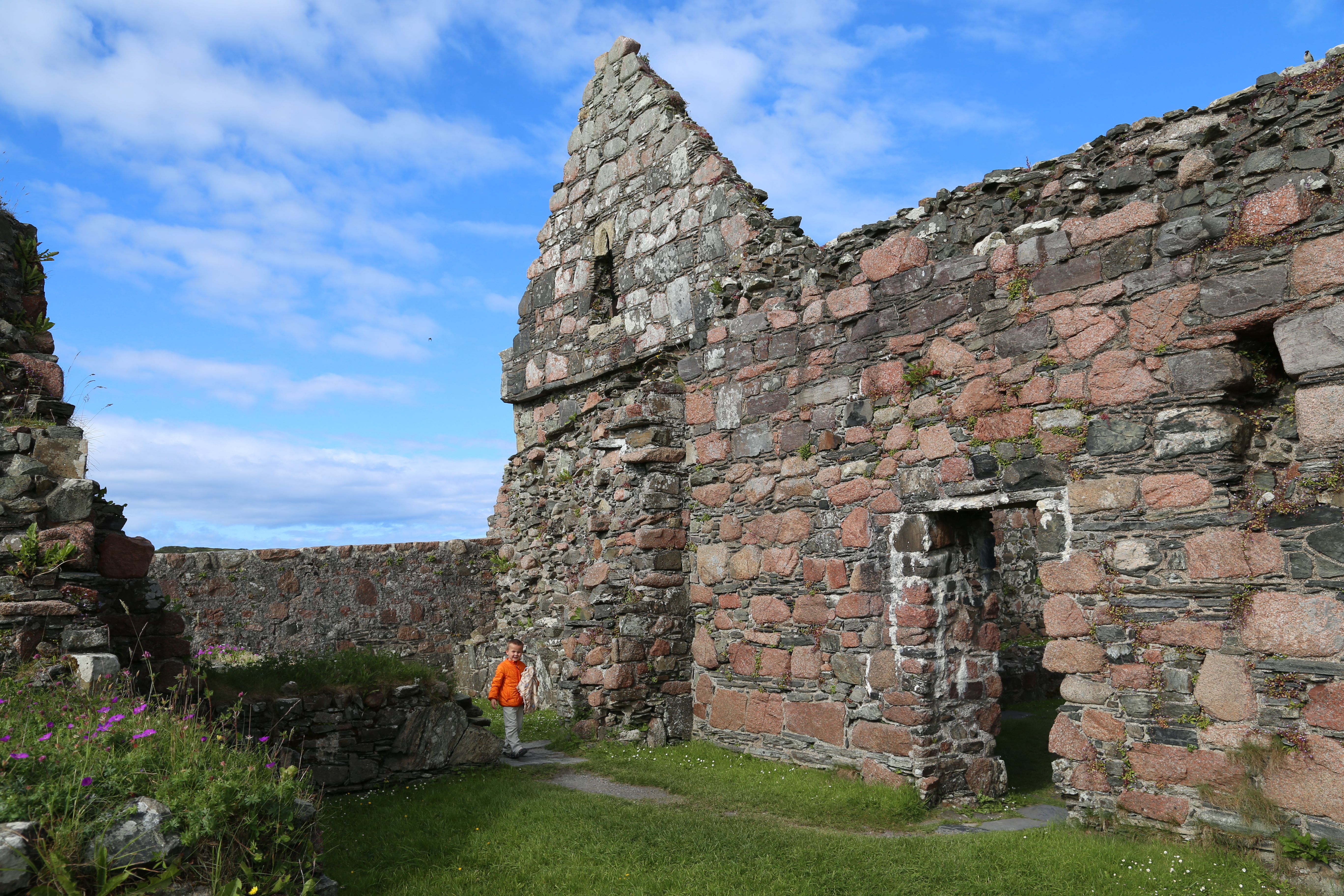 2014 Europe Trip Day 26 - Scotland (Ardachy House Yurt, Heilan' Coo, Fionnphort-Iona Ferry, Iona Nunnery, Iona Abbey (Britain Christianity Birthplace), Scottish Heather, Tobermory-Kilchoan Ferry, Castle Tioram, Glenfinnan Monument, Biting Midges!)