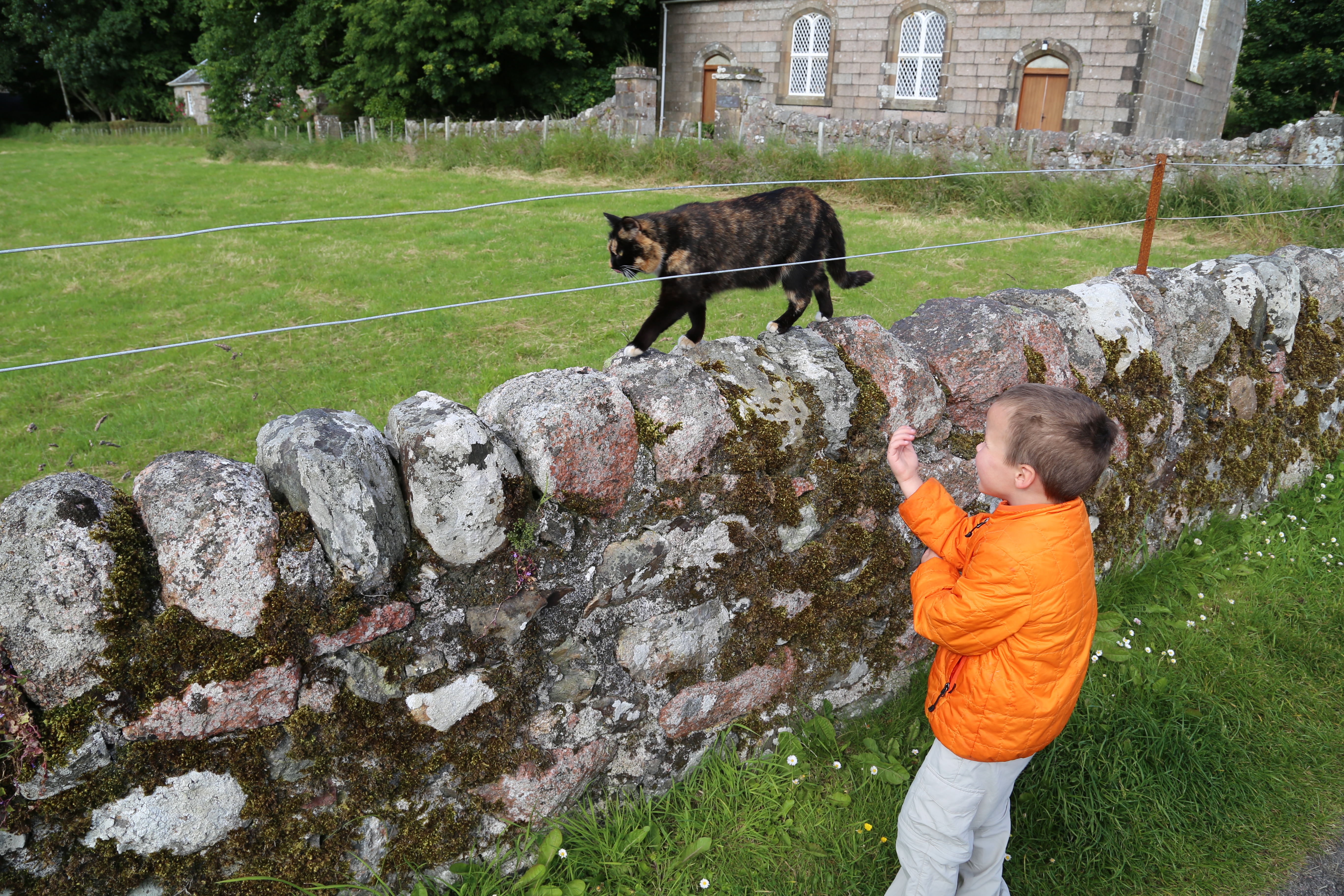 2014 Europe Trip Day 26 - Scotland (Ardachy House Yurt, Heilan' Coo, Fionnphort-Iona Ferry, Iona Nunnery, Iona Abbey (Britain Christianity Birthplace), Scottish Heather, Tobermory-Kilchoan Ferry, Castle Tioram, Glenfinnan Monument, Biting Midges!)