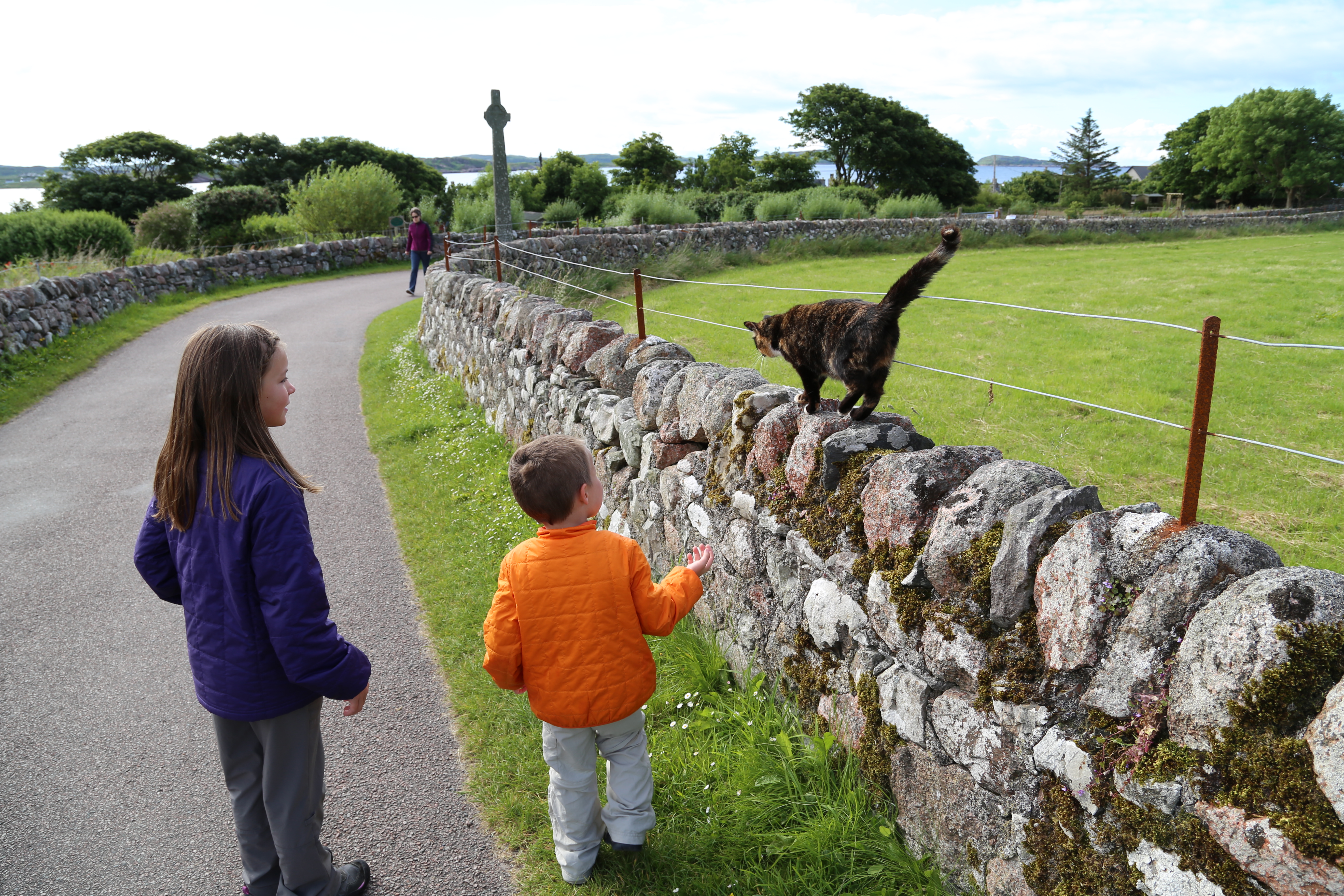 2014 Europe Trip Day 26 - Scotland (Ardachy House Yurt, Heilan' Coo, Fionnphort-Iona Ferry, Iona Nunnery, Iona Abbey (Britain Christianity Birthplace), Scottish Heather, Tobermory-Kilchoan Ferry, Castle Tioram, Glenfinnan Monument, Biting Midges!)