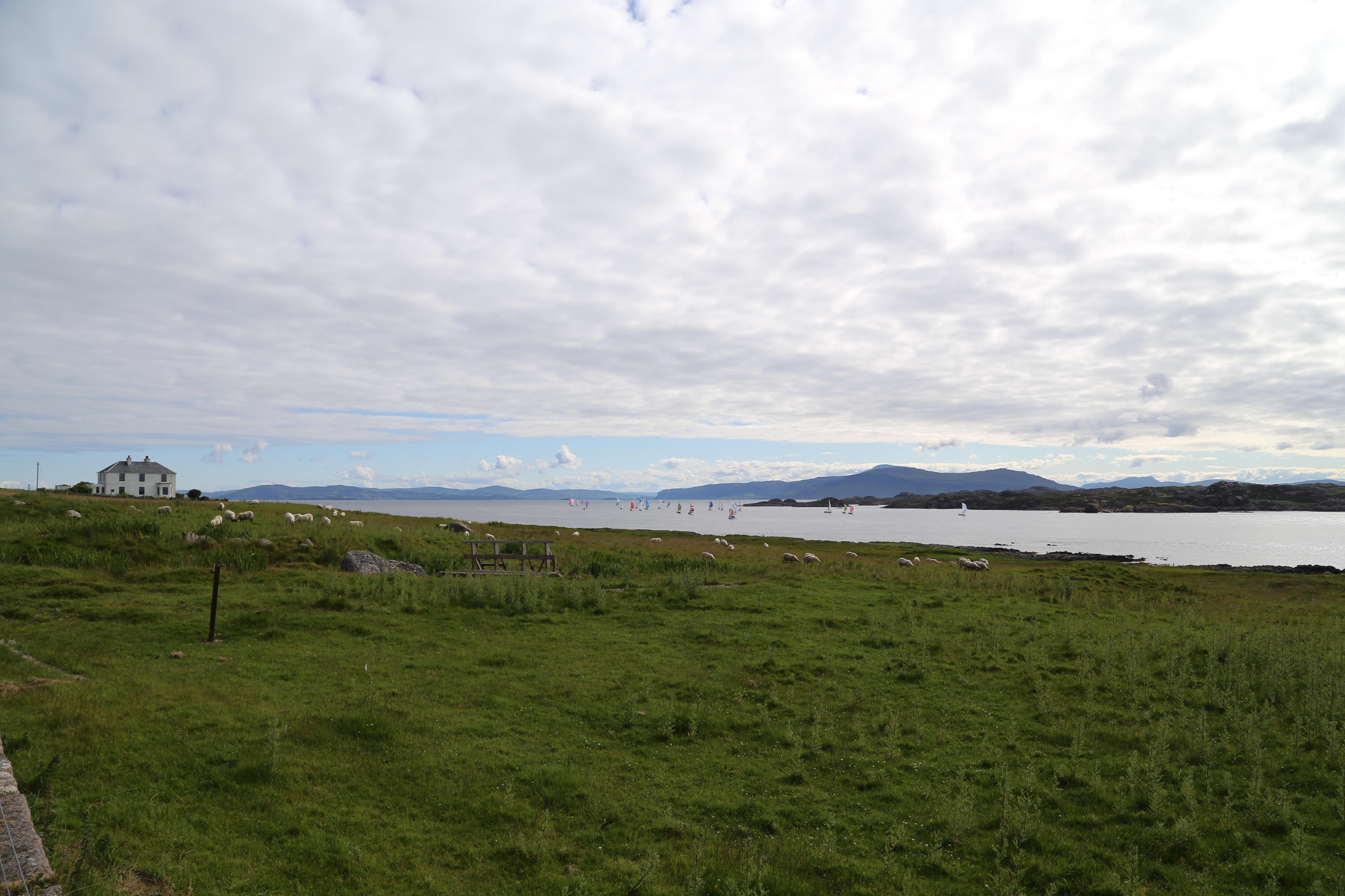 2014 Europe Trip Day 26 - Scotland (Ardachy House Yurt, Heilan' Coo, Fionnphort-Iona Ferry, Iona Nunnery, Iona Abbey (Britain Christianity Birthplace), Scottish Heather, Tobermory-Kilchoan Ferry, Castle Tioram, Glenfinnan Monument, Biting Midges!)