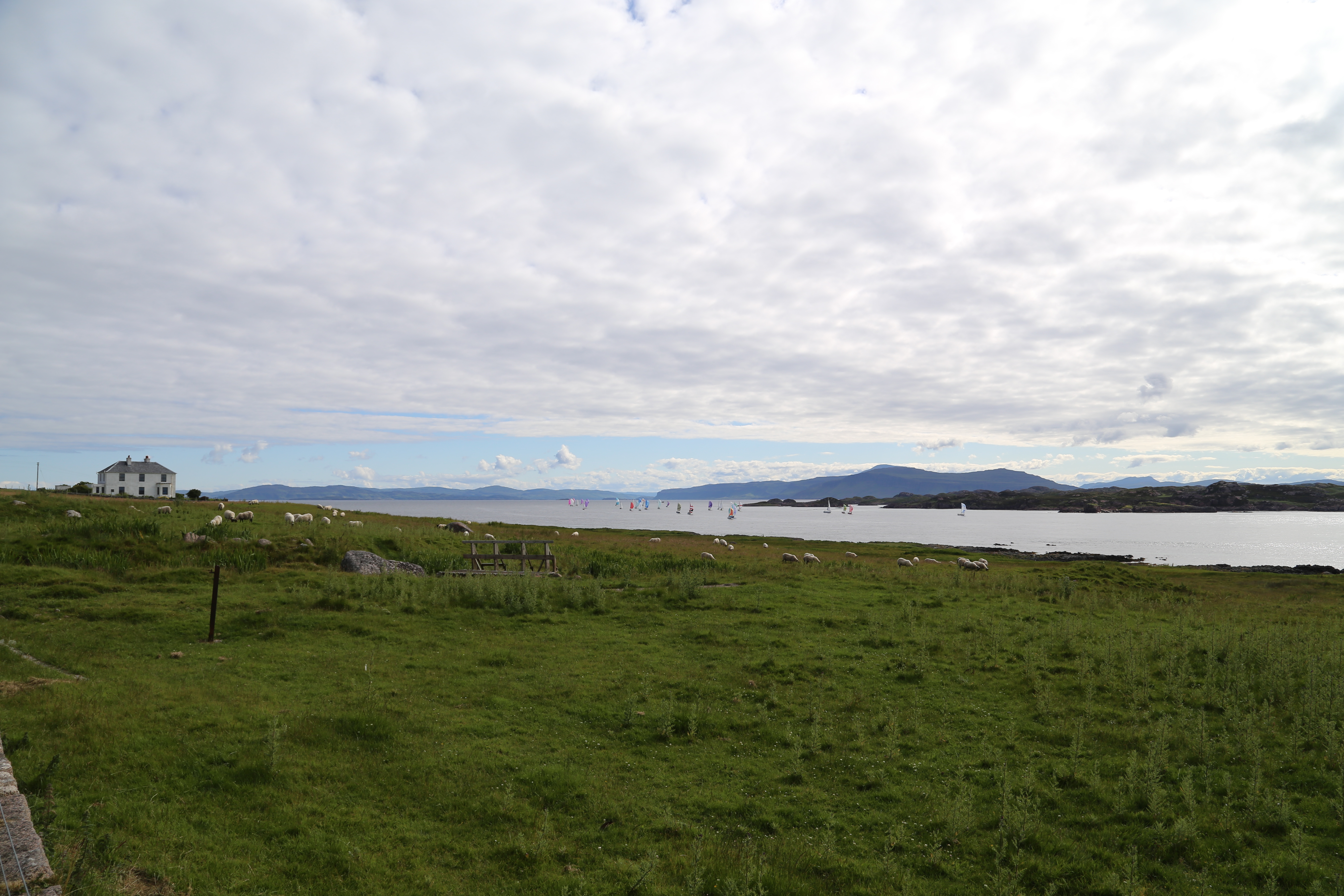 2014 Europe Trip Day 26 - Scotland (Ardachy House Yurt, Heilan' Coo, Fionnphort-Iona Ferry, Iona Nunnery, Iona Abbey (Britain Christianity Birthplace), Scottish Heather, Tobermory-Kilchoan Ferry, Castle Tioram, Glenfinnan Monument, Biting Midges!)