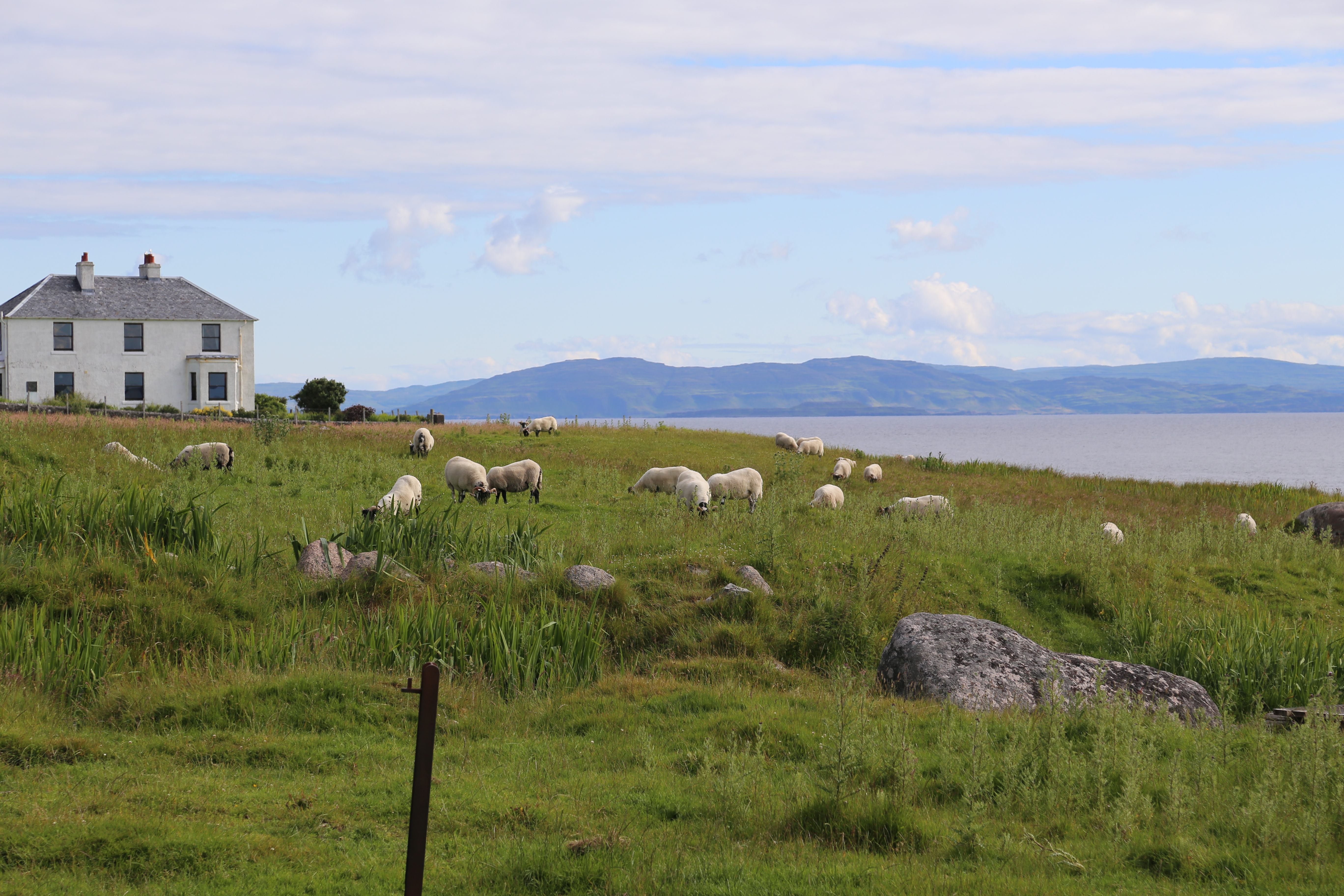 2014 Europe Trip Day 26 - Scotland (Ardachy House Yurt, Heilan' Coo, Fionnphort-Iona Ferry, Iona Nunnery, Iona Abbey (Britain Christianity Birthplace), Scottish Heather, Tobermory-Kilchoan Ferry, Castle Tioram, Glenfinnan Monument, Biting Midges!)