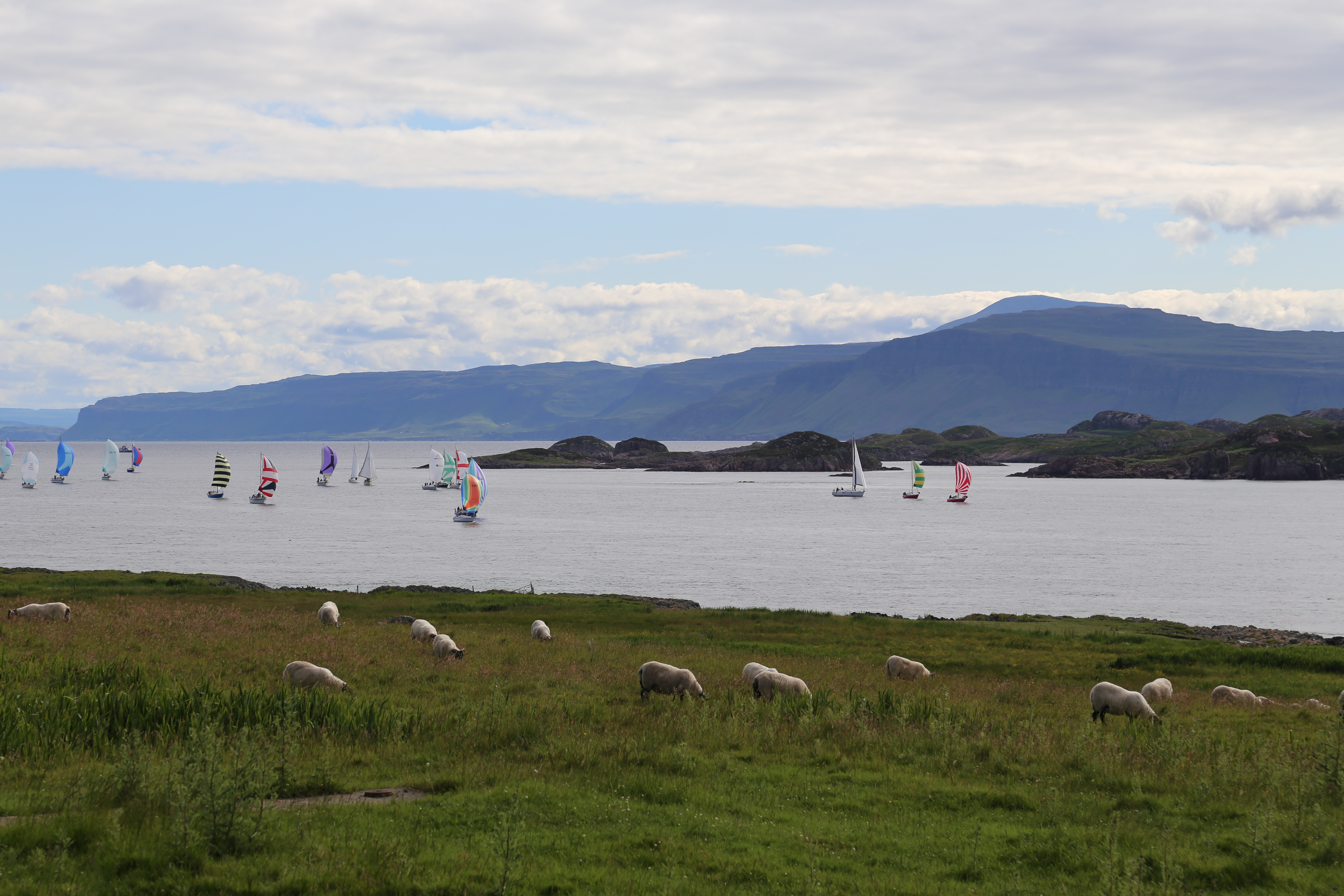 2014 Europe Trip Day 26 - Scotland (Ardachy House Yurt, Heilan' Coo, Fionnphort-Iona Ferry, Iona Nunnery, Iona Abbey (Britain Christianity Birthplace), Scottish Heather, Tobermory-Kilchoan Ferry, Castle Tioram, Glenfinnan Monument, Biting Midges!)