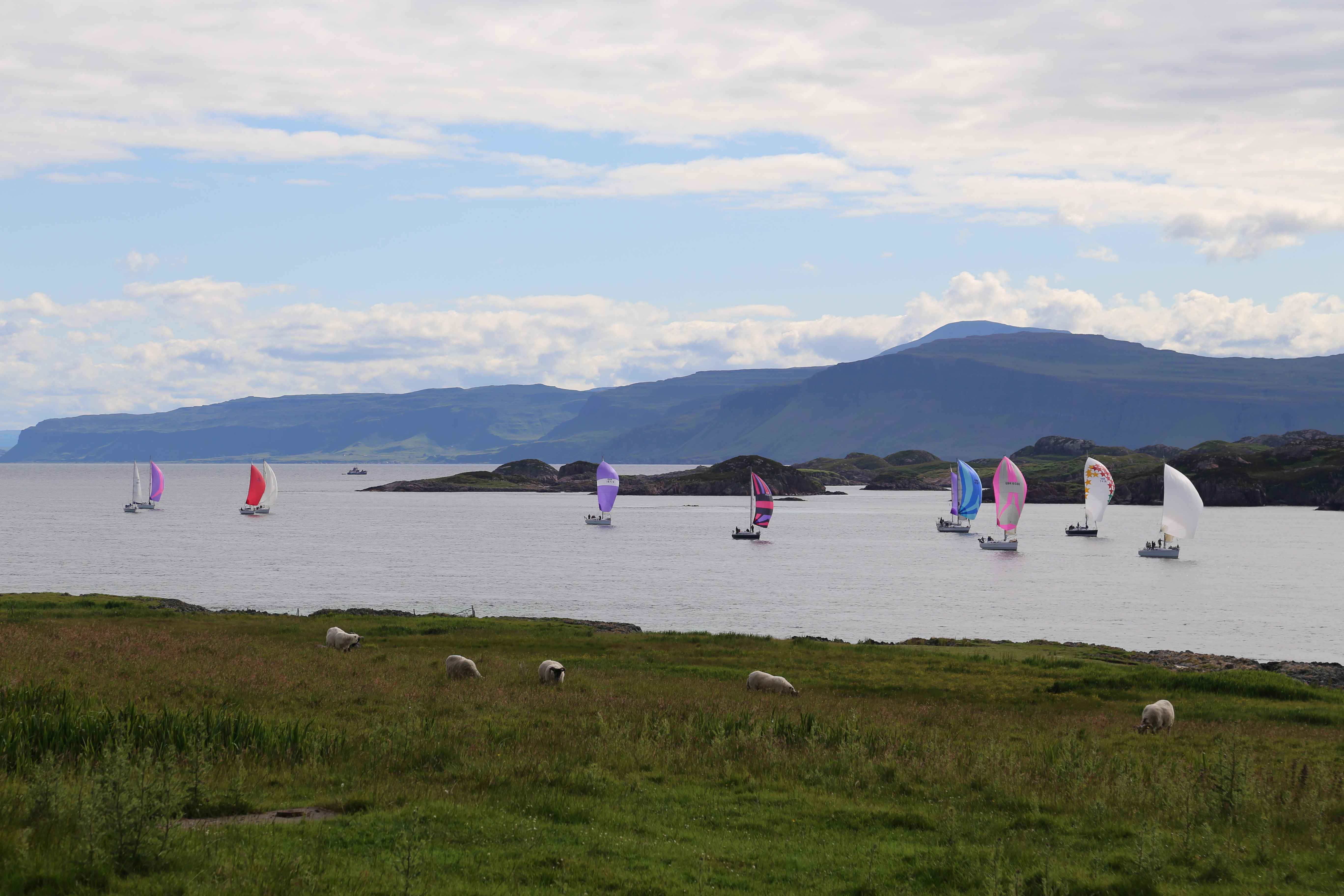 2014 Europe Trip Day 26 - Scotland (Ardachy House Yurt, Heilan' Coo, Fionnphort-Iona Ferry, Iona Nunnery, Iona Abbey (Britain Christianity Birthplace), Scottish Heather, Tobermory-Kilchoan Ferry, Castle Tioram, Glenfinnan Monument, Biting Midges!)