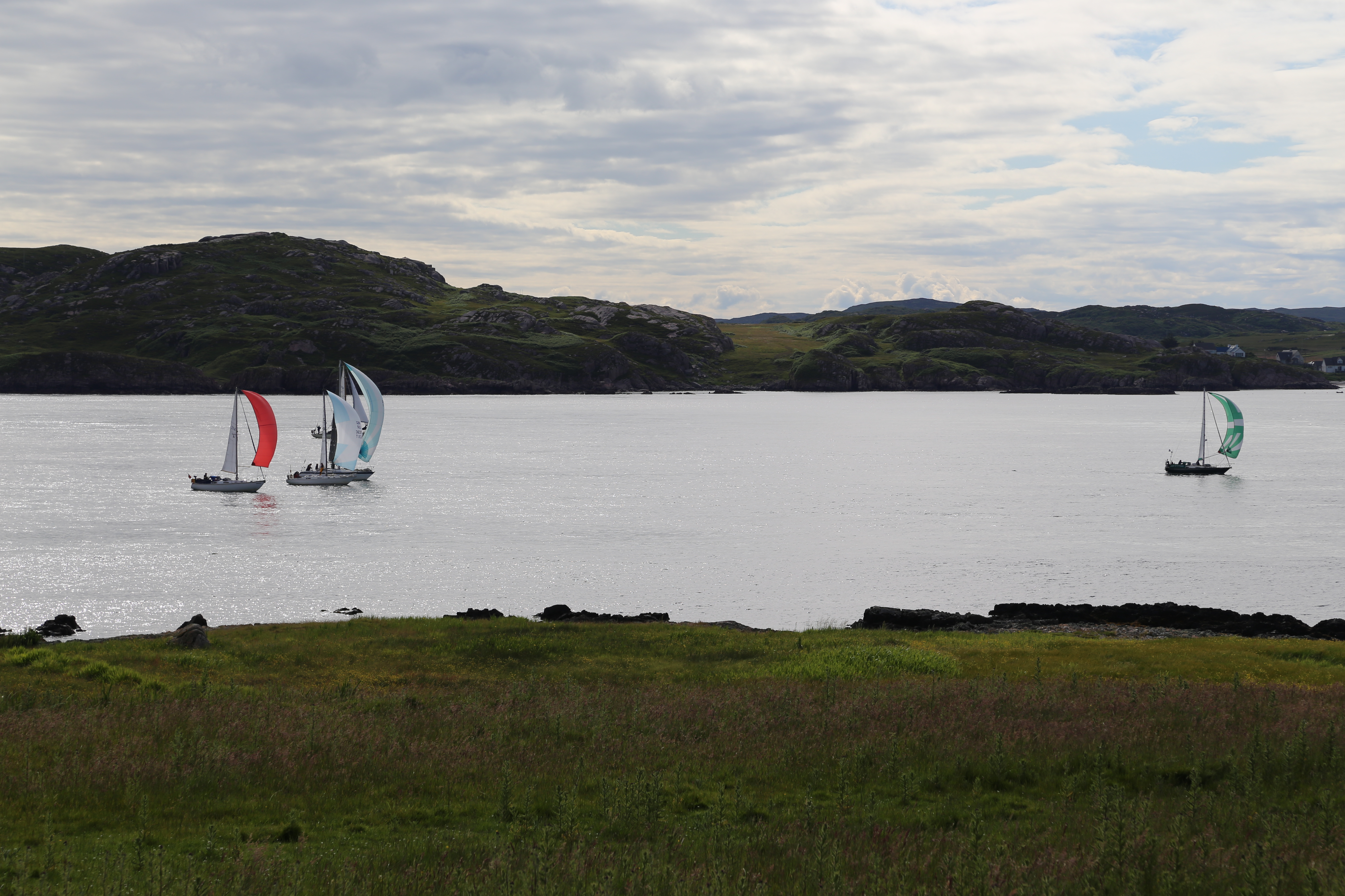 2014 Europe Trip Day 26 - Scotland (Ardachy House Yurt, Heilan' Coo, Fionnphort-Iona Ferry, Iona Nunnery, Iona Abbey (Britain Christianity Birthplace), Scottish Heather, Tobermory-Kilchoan Ferry, Castle Tioram, Glenfinnan Monument, Biting Midges!)