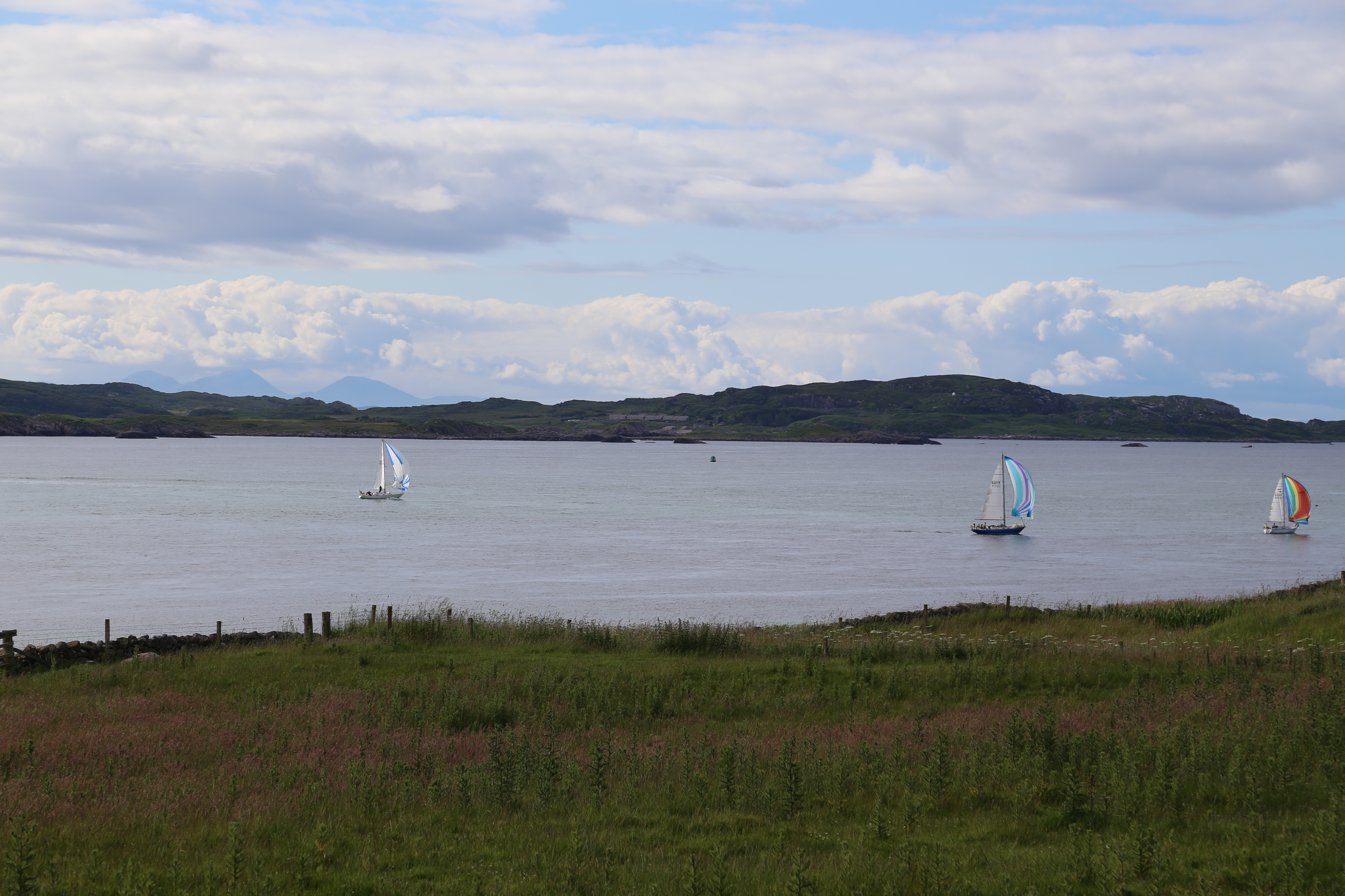 2014 Europe Trip Day 26 - Scotland (Ardachy House Yurt, Heilan' Coo, Fionnphort-Iona Ferry, Iona Nunnery, Iona Abbey (Britain Christianity Birthplace), Scottish Heather, Tobermory-Kilchoan Ferry, Castle Tioram, Glenfinnan Monument, Biting Midges!)