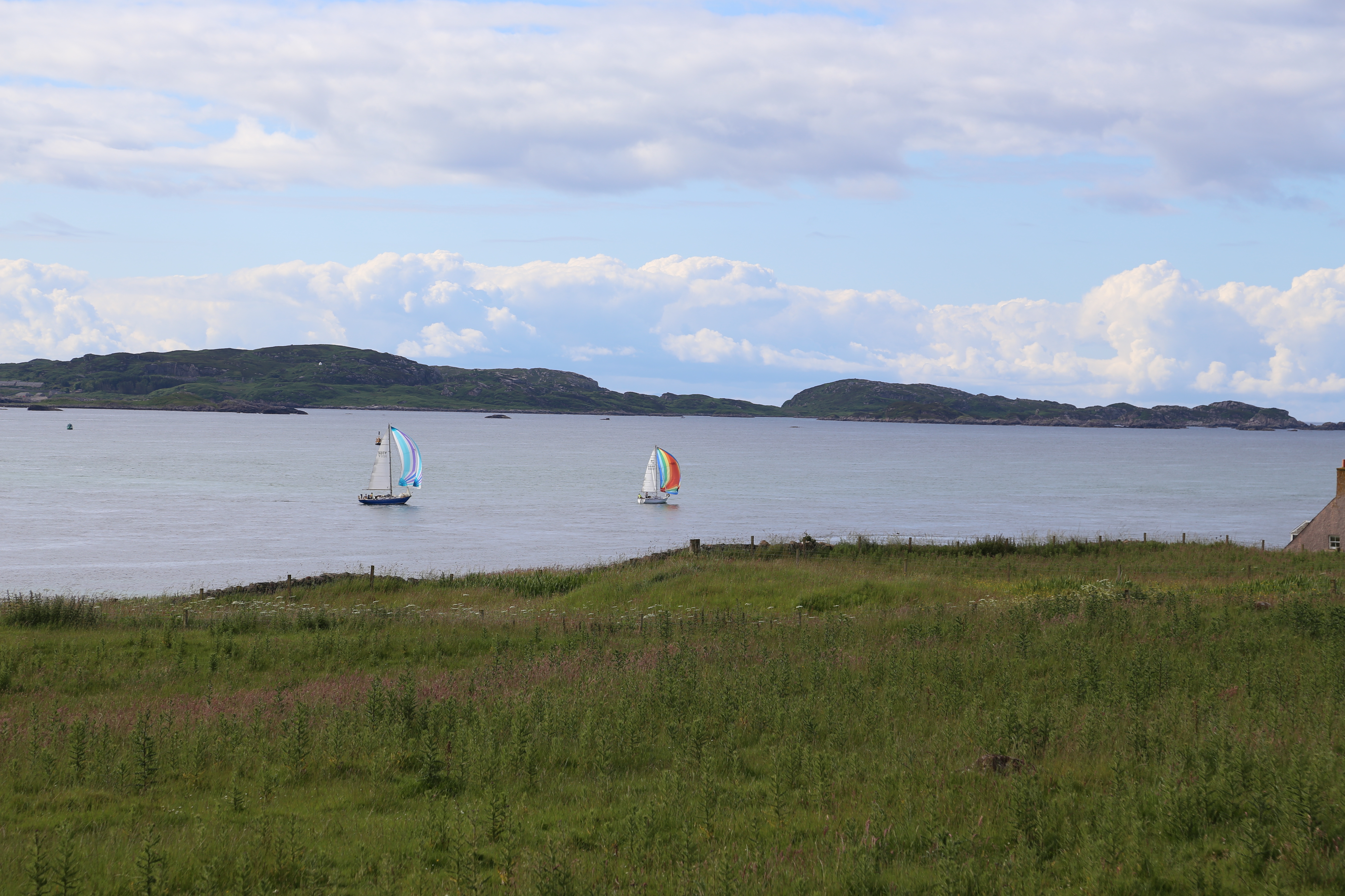 2014 Europe Trip Day 26 - Scotland (Ardachy House Yurt, Heilan' Coo, Fionnphort-Iona Ferry, Iona Nunnery, Iona Abbey (Britain Christianity Birthplace), Scottish Heather, Tobermory-Kilchoan Ferry, Castle Tioram, Glenfinnan Monument, Biting Midges!)