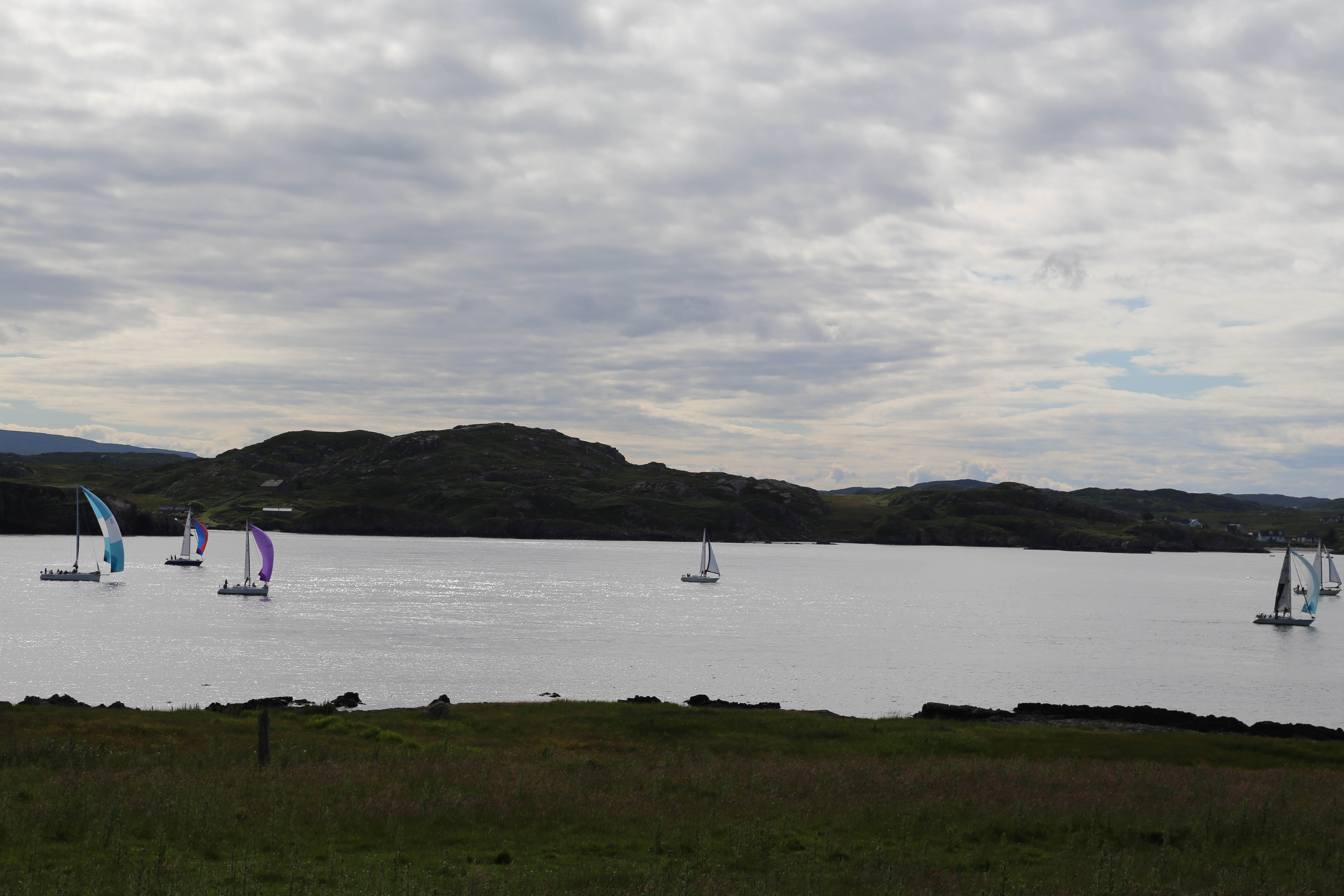 2014 Europe Trip Day 26 - Scotland (Ardachy House Yurt, Heilan' Coo, Fionnphort-Iona Ferry, Iona Nunnery, Iona Abbey (Britain Christianity Birthplace), Scottish Heather, Tobermory-Kilchoan Ferry, Castle Tioram, Glenfinnan Monument, Biting Midges!)